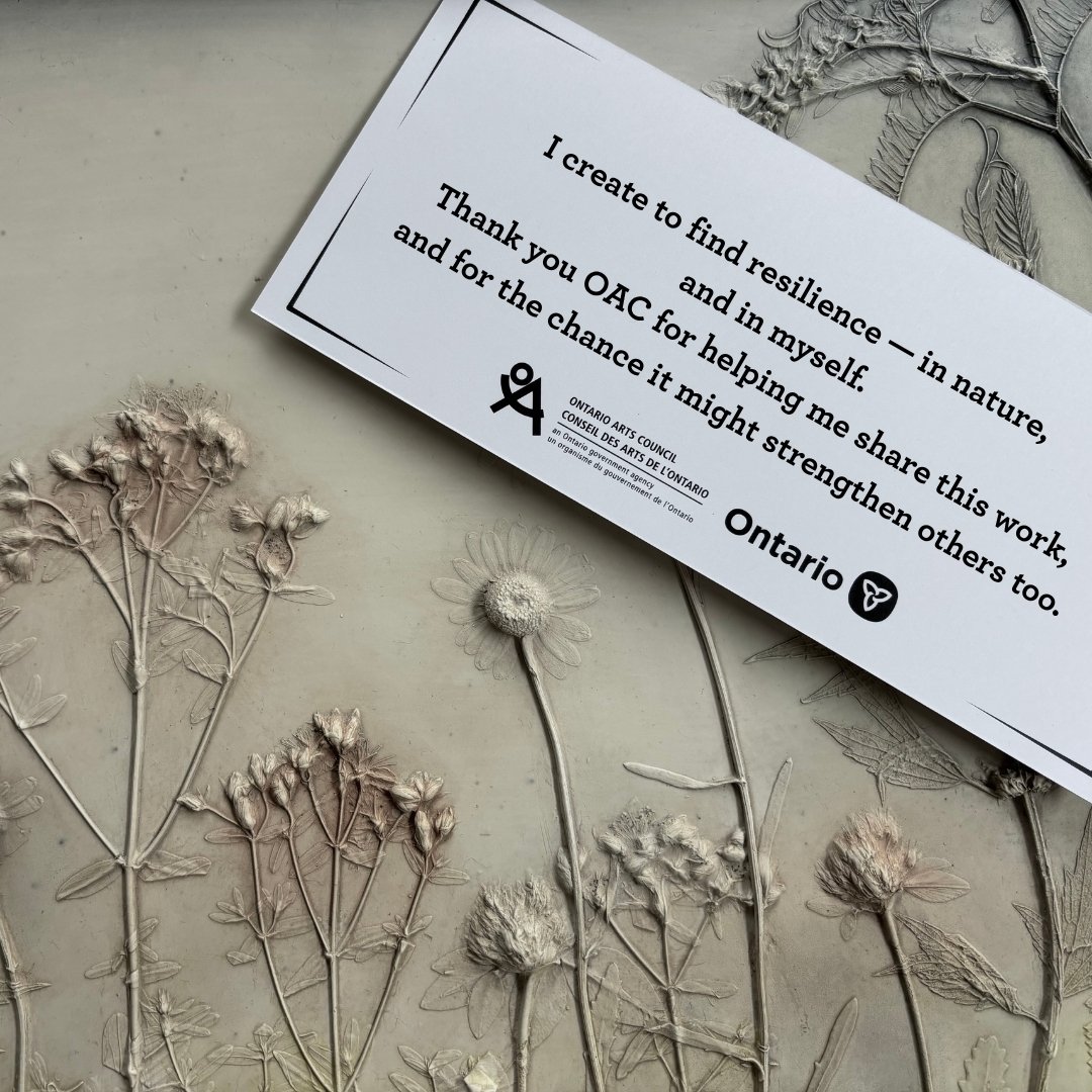 If we approach overlooked species with curiosity and care, perhaps more of us&mdash;of every plant and human variety&mdash;can thrive in our own ways, sustaining and rehabilitating the ecosystem we all share.

.
.
.

My newest collection is almost he