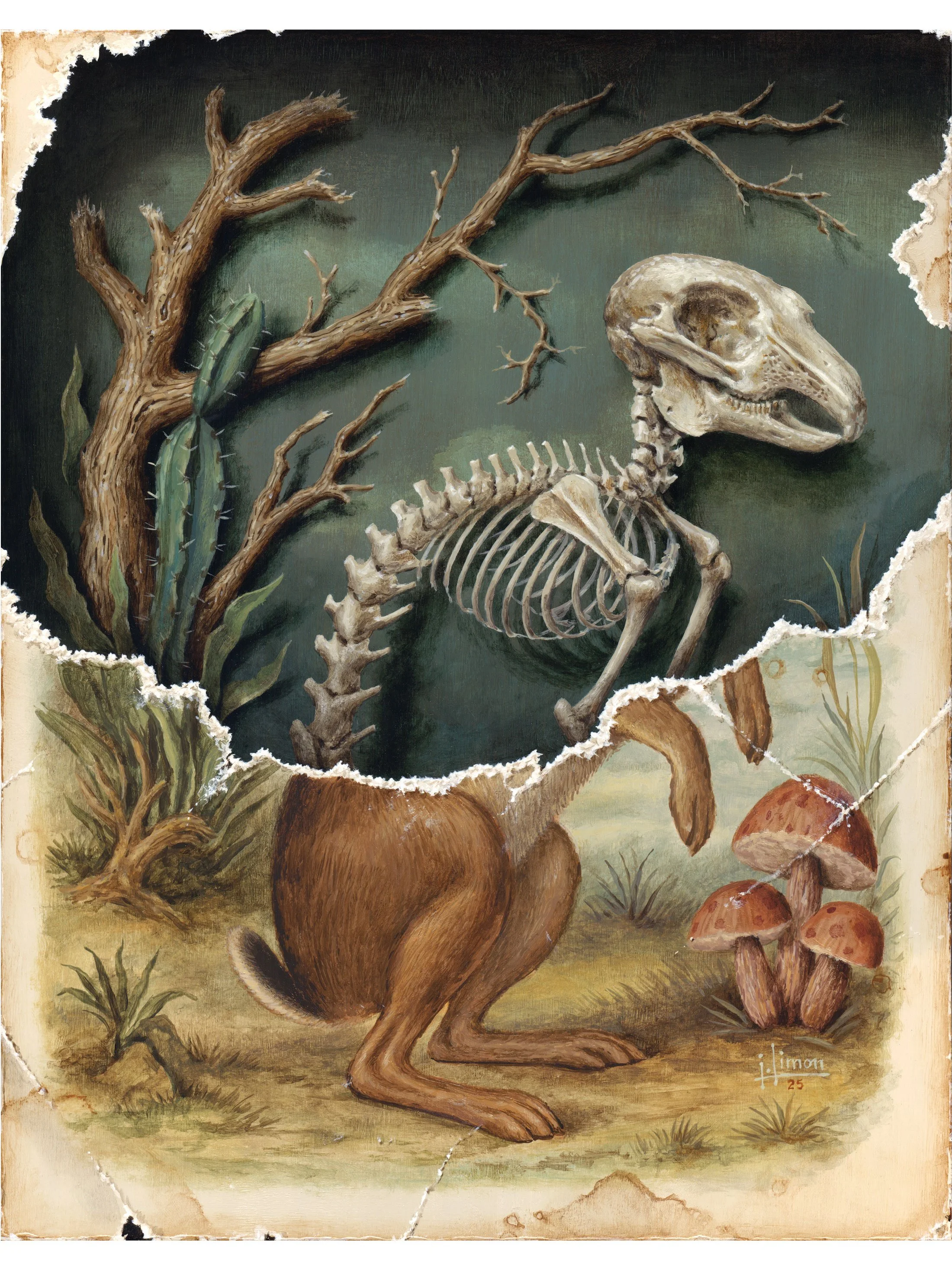 Torn Rabbit, 11x14", Acrylic on Panel, 2025