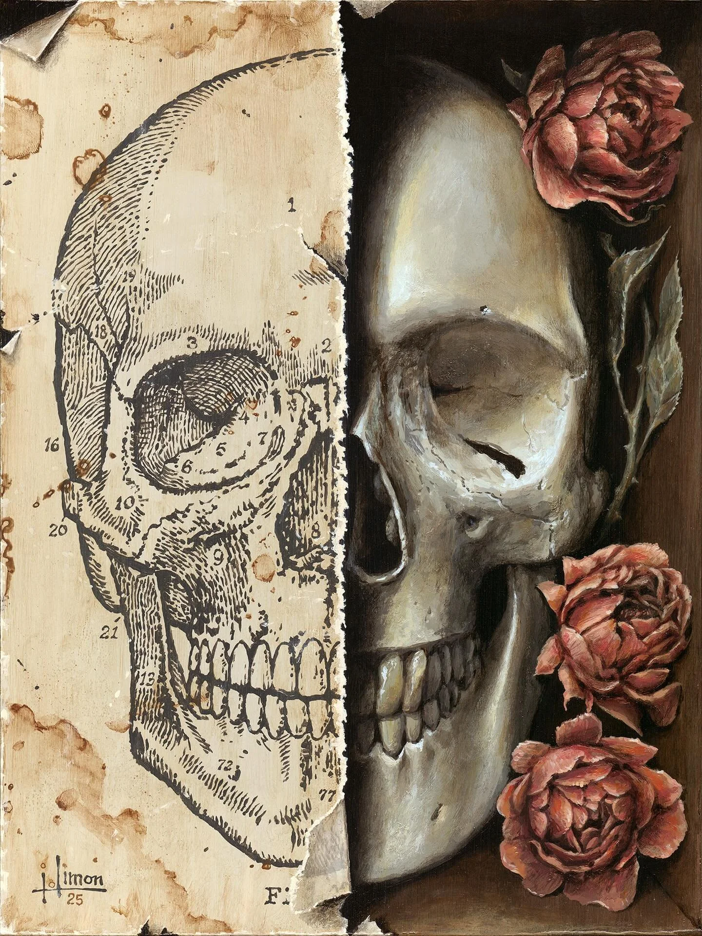 Paper &amp; Bones, 9x12 #acrylicpainting