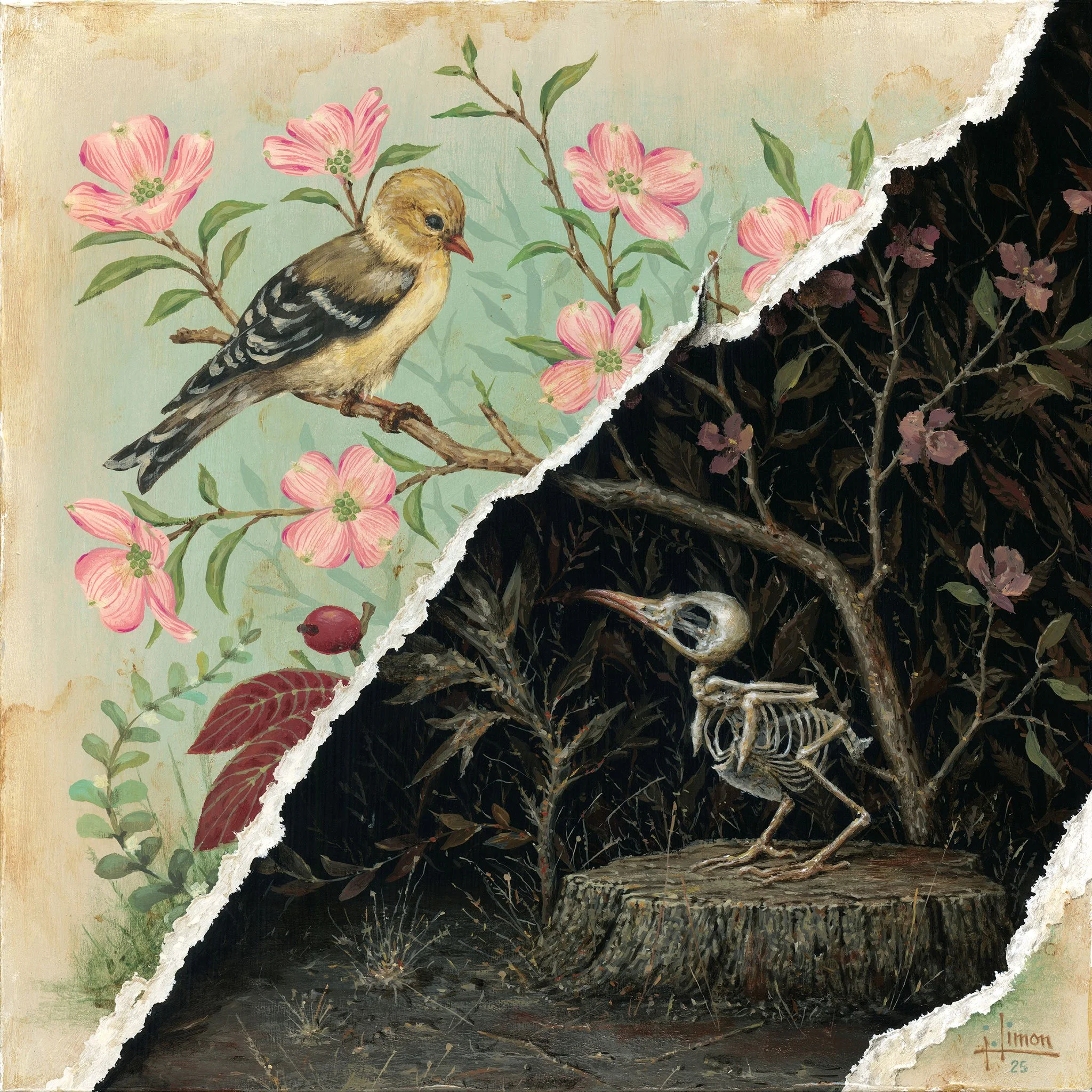 Torn Birds, 10x10", Acrylic on Panel, 2025