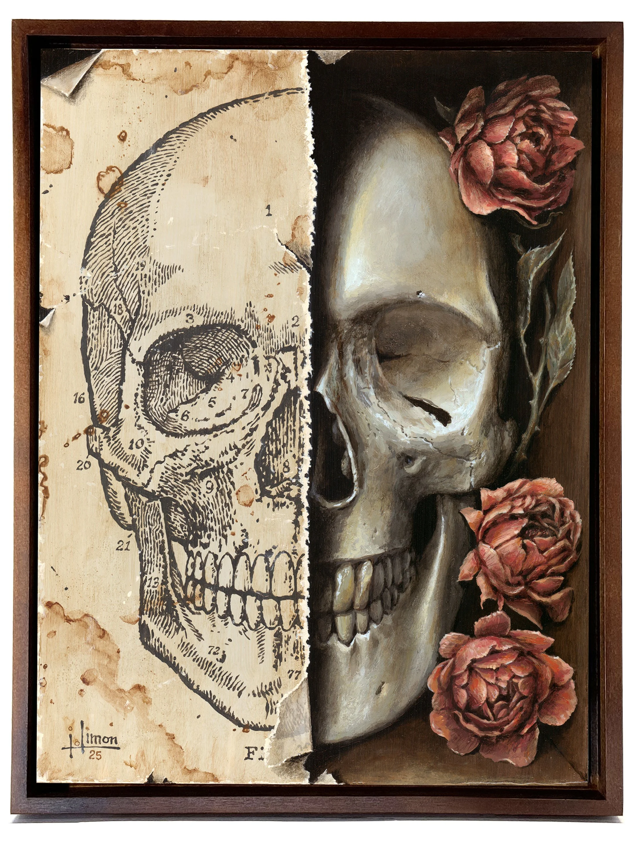 Paper-and-Bone-FramedSHOP.jpg