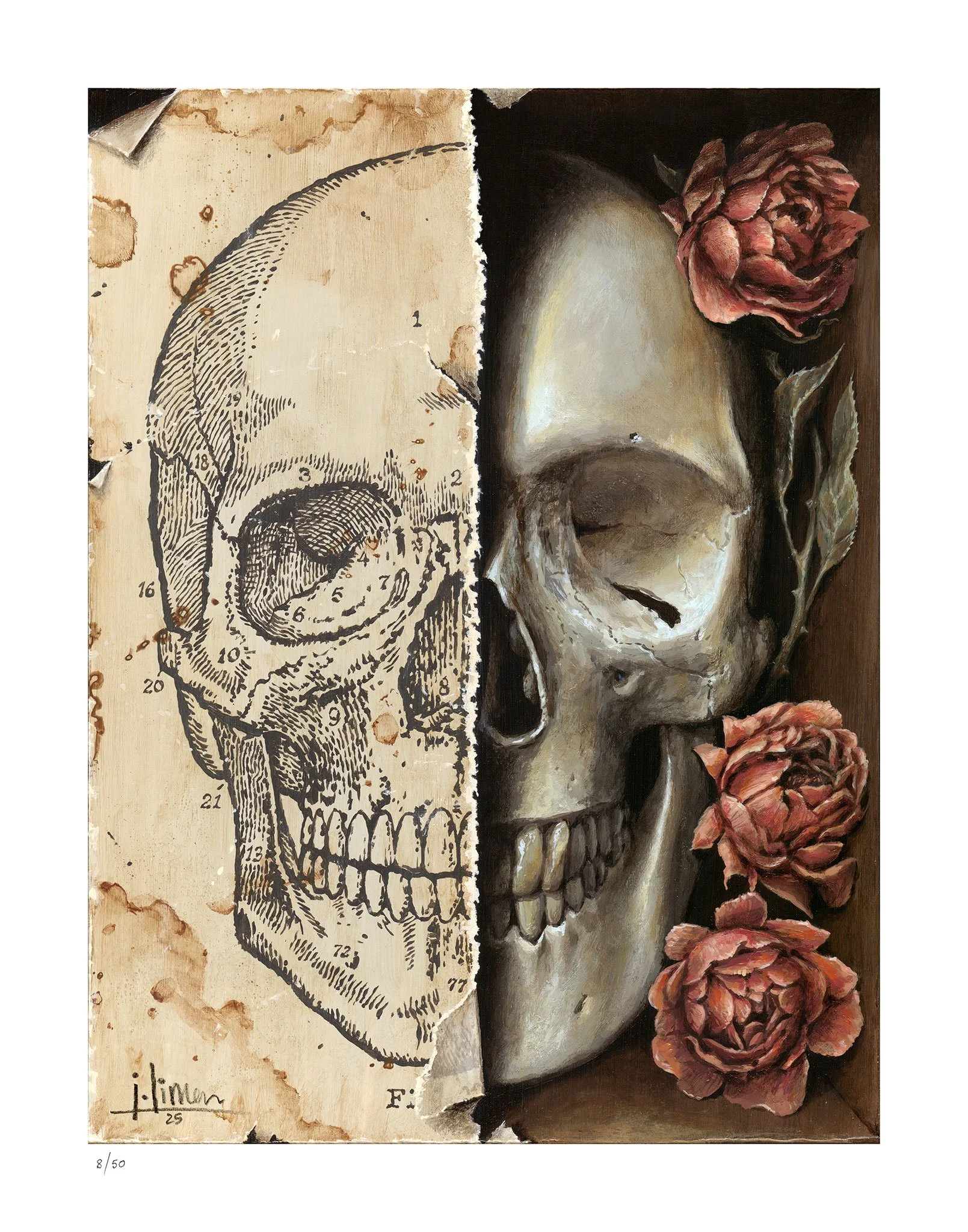 Paper and Bones, Print