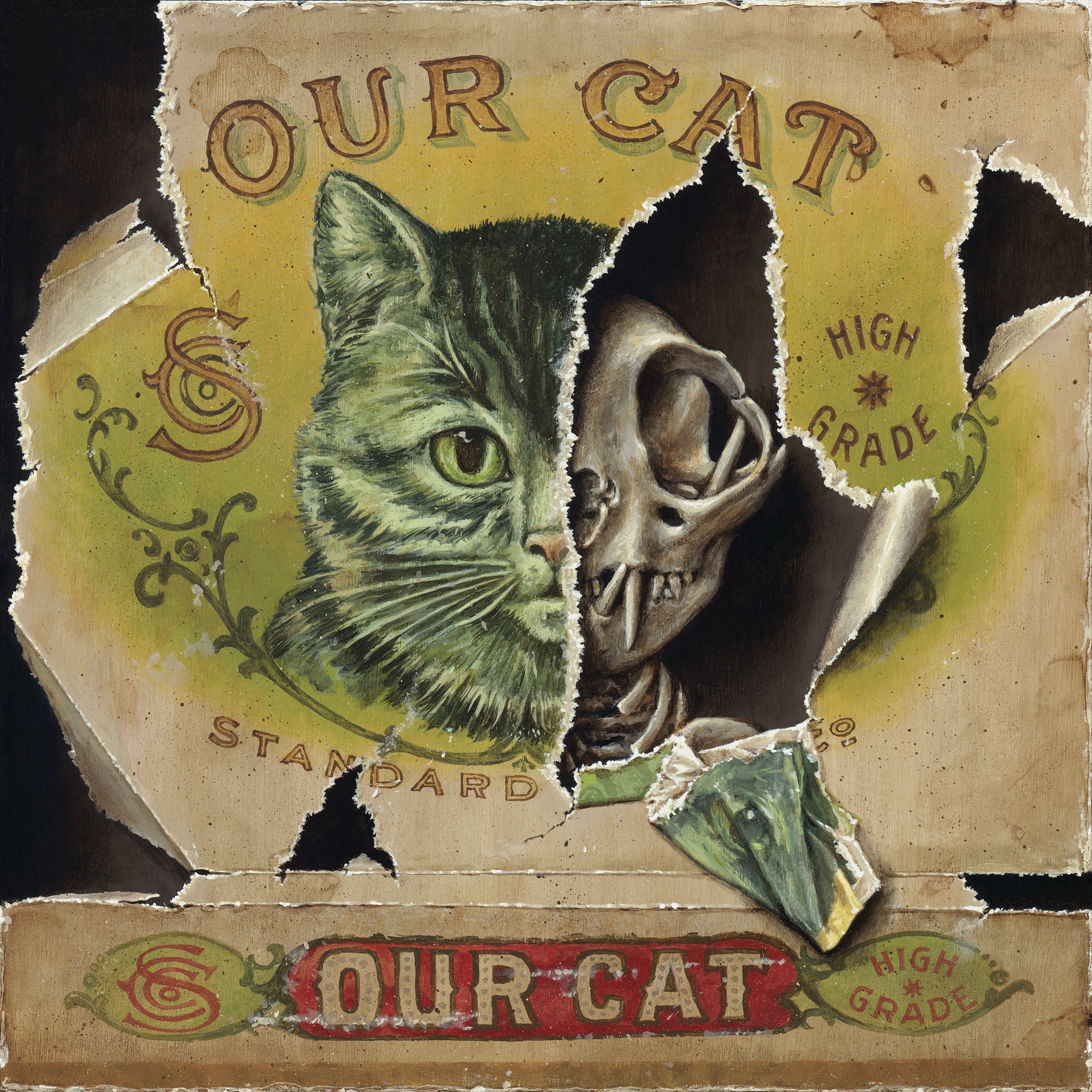 Our Cat, 12x12, 2026
