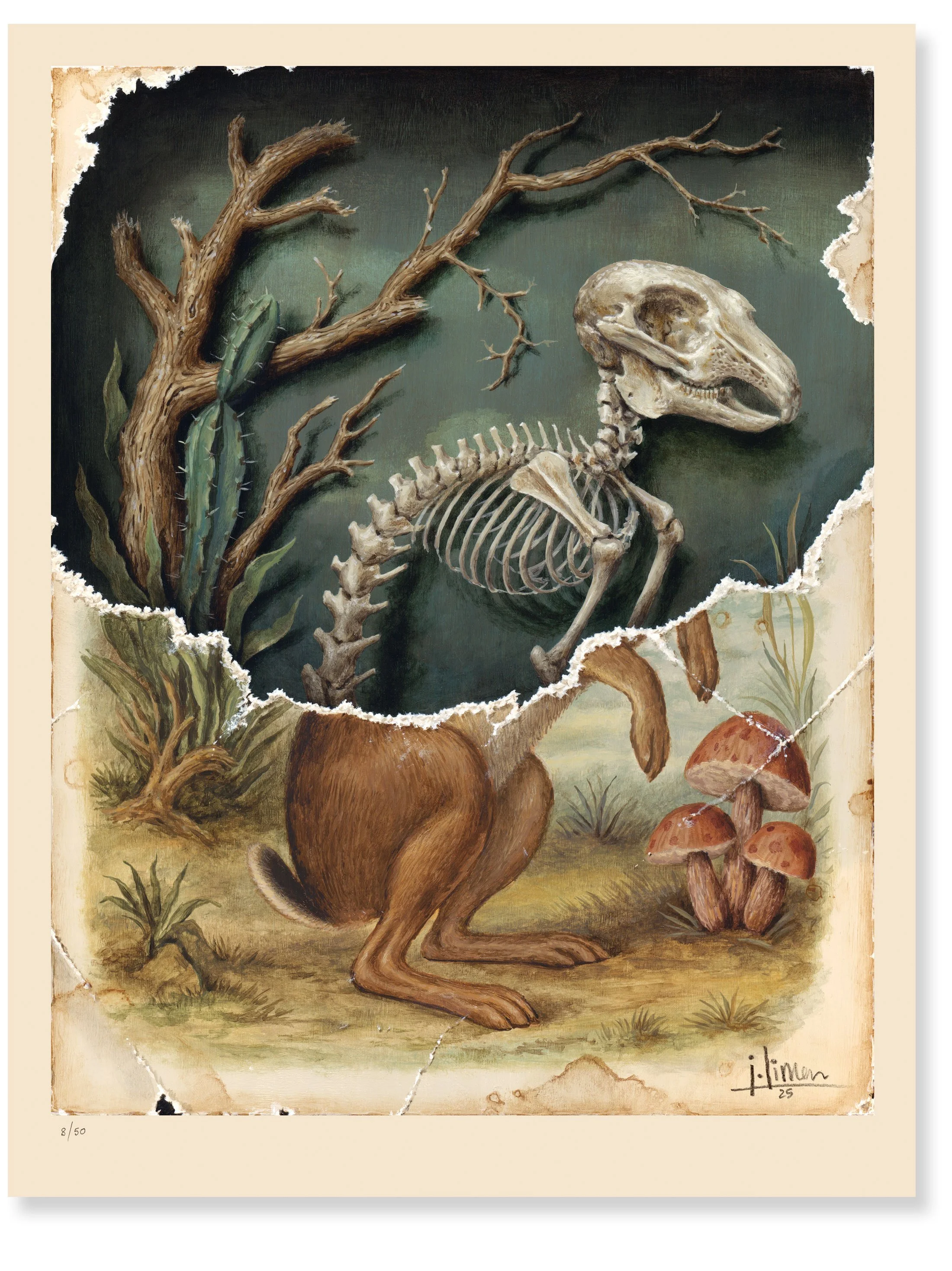 Torn Rabbit I, Print