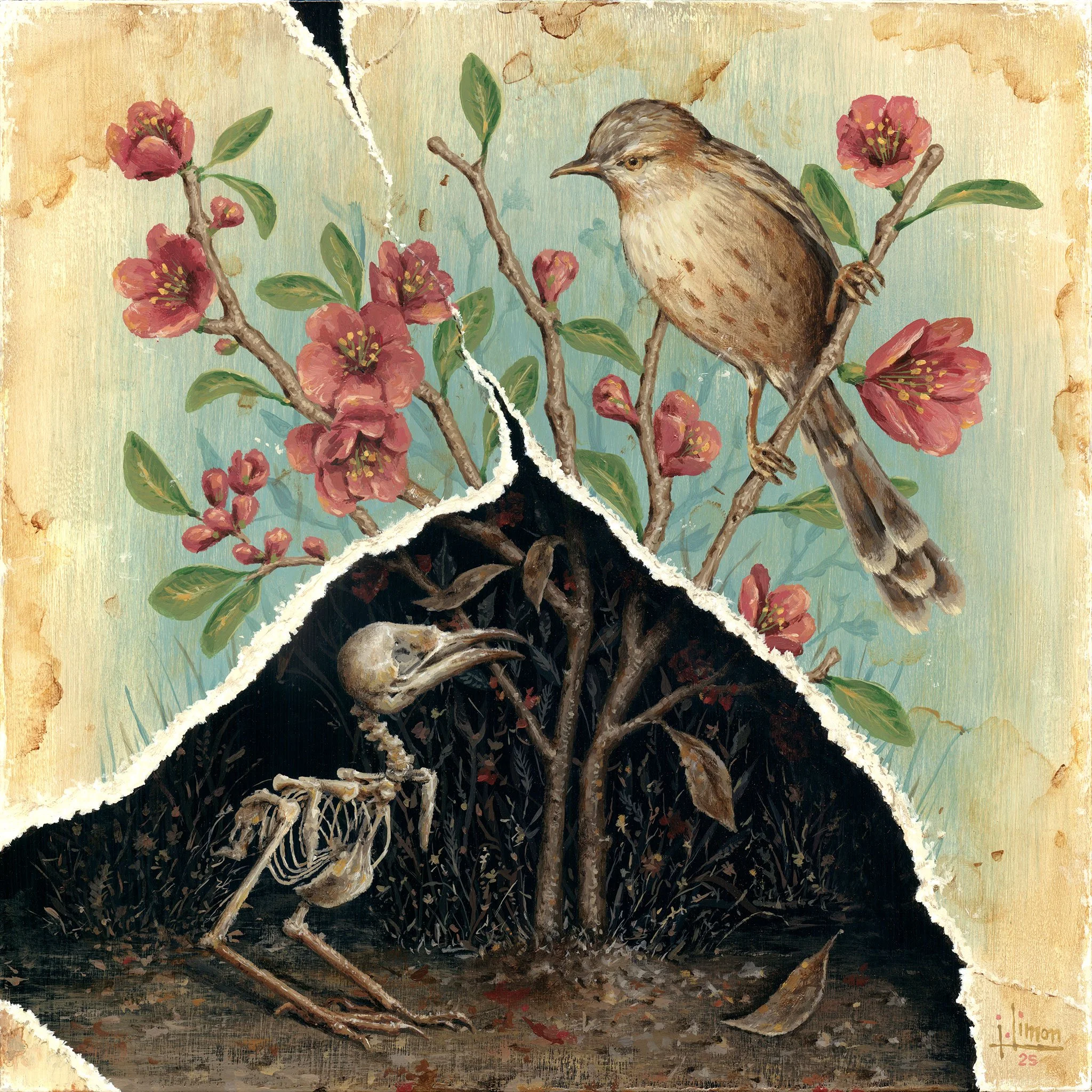 Torn Birds II, 10x10, 2025