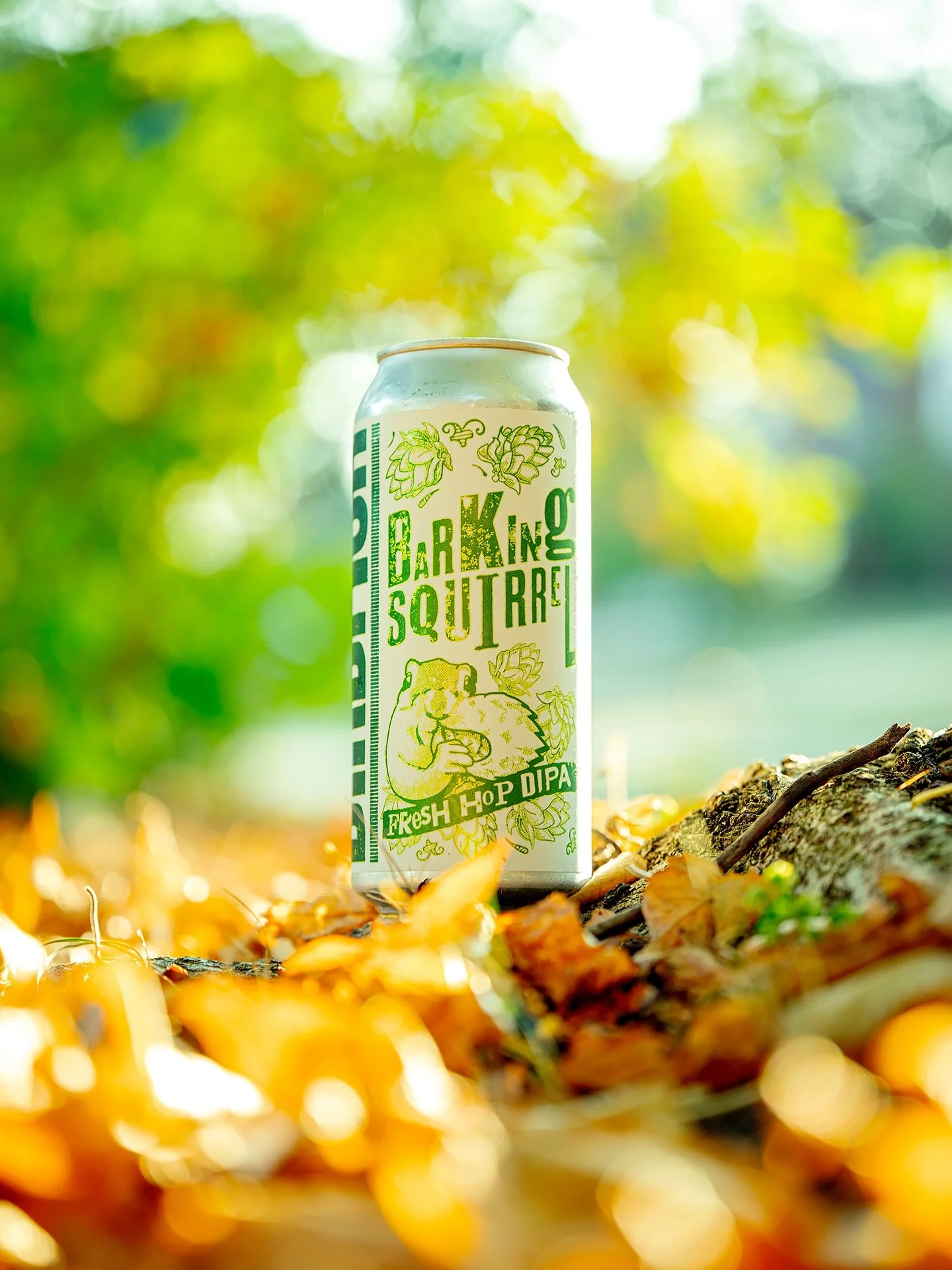 A can in the leaves, a crisp fall breeze, and a @kegandcamera shot to make you forget it&rsquo;s raining at all.