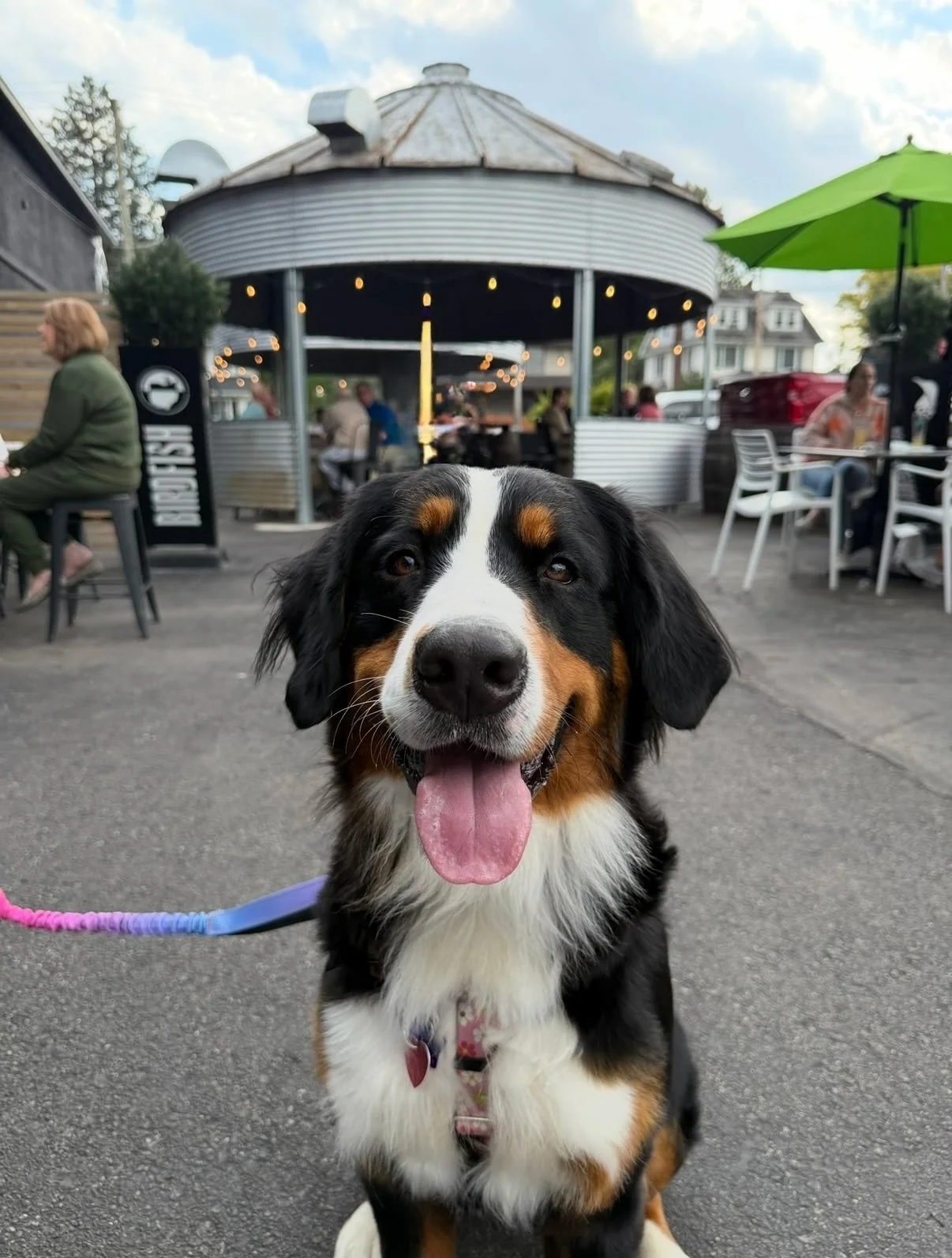 Caught mid-drool thinking about brisket 🍖🤤

🍽️ Sunday BBQ with @ytownbbqco 12-7
🎶 Harrison &amp; Grant live music 2-4
🍺 Hi-Quad Drifter on tap! Our 10.4% black currant Belgian Quadrupel aged 19 months in a red wine barrel.