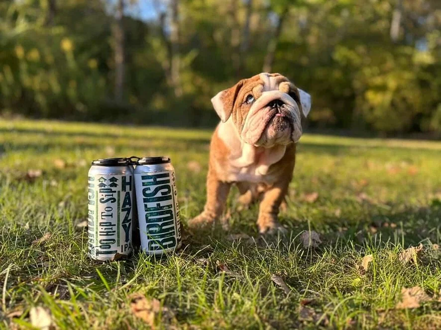 Sit. Stay. Sip. 🐾🍻

Saturday&rsquo;s lineup is locked and loaded:
🍖 @330bbq | 12&ndash;9
🎶 @ztownstreetband | 2&ndash;5
🎲 @tabletopstation | 6&ndash;9

Dog-friendly, family-welcoming, and always good vibes.

Join us in the Ballroom or on the pat