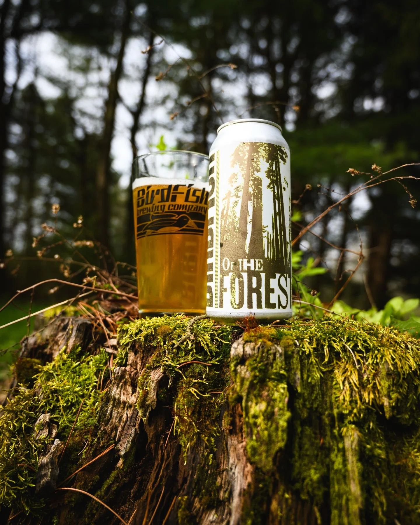 Of The Forest IPA drops Wednesday, April 22nd 🌲🍺

This one leans all the way in.
A 7% West Coast IPA built with Columbus hops &mdash; bringing a pungent, earthy, woodsy punch right up front.

Expect big pine, dank resin, and grapefruit bitterness, 