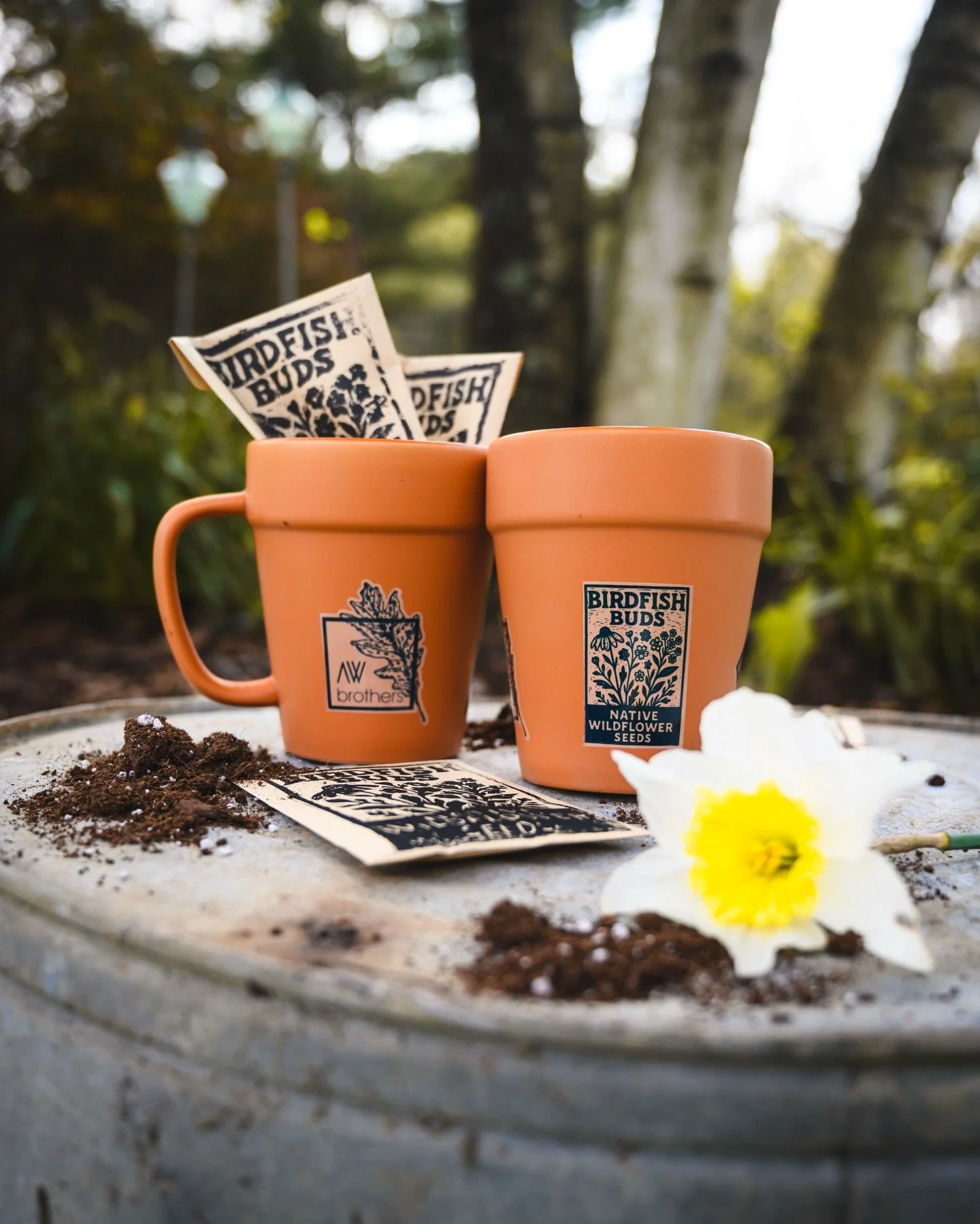 First pours tomorrow come with the goods 🌱🍺

Score a 14 oz. terracotta-style flower pot mug plus a Birdfish Buds wildflower seed packet to plant when your beer&rsquo;s gone.

Drink it. Plant it. Let it grow. 🌱

Limited quantity. Get here early. Ea