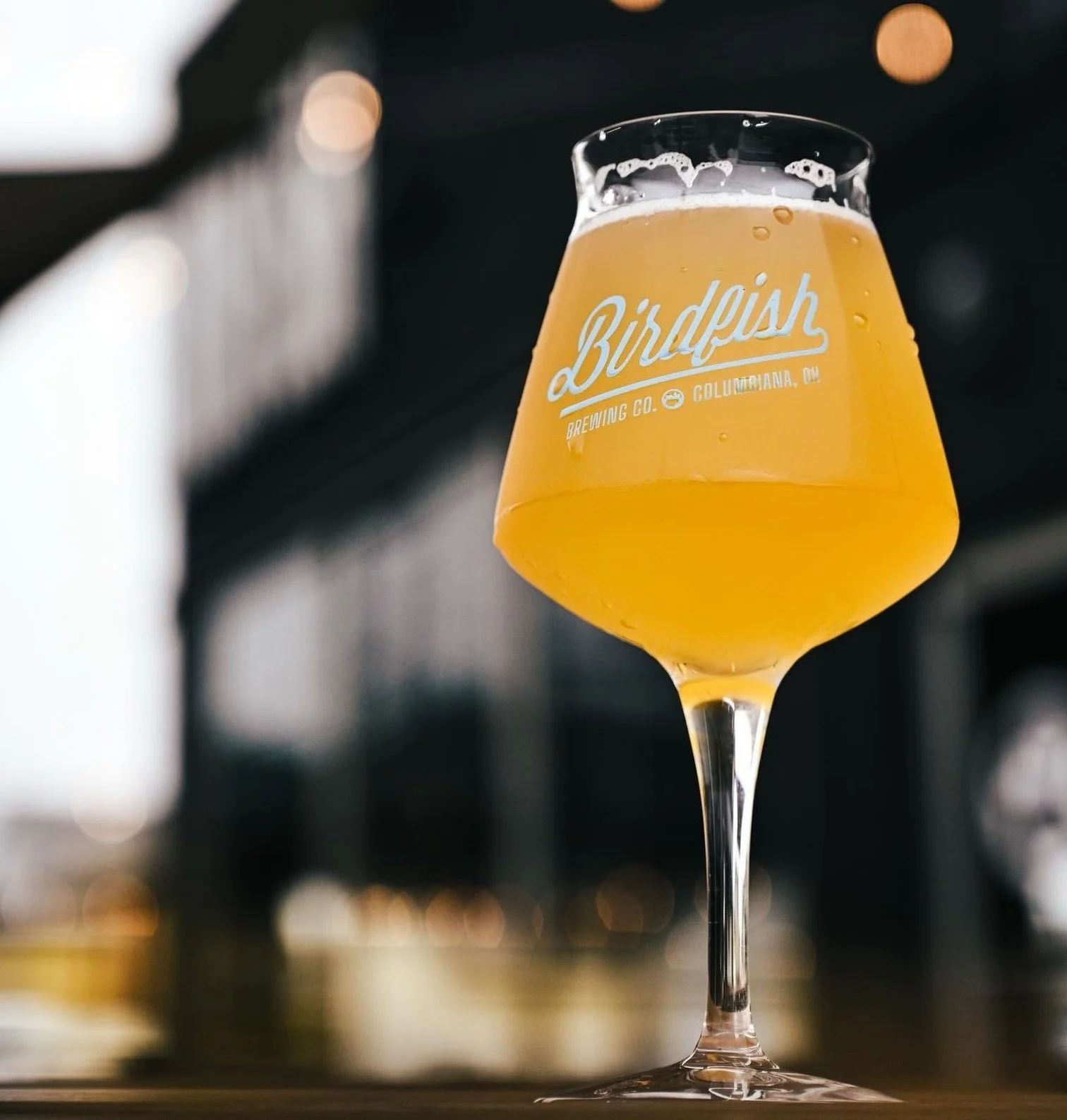 Mildly Untamed &mdash; Small batch. Taproom exclusive. On tap now &mdash; get it while it lasts.

We brewed a small batch classic Saison and blended it with an oak-aged Brett Saison, then dry hopped it with Hallertau Blanc.

Rustic, bright, and just 