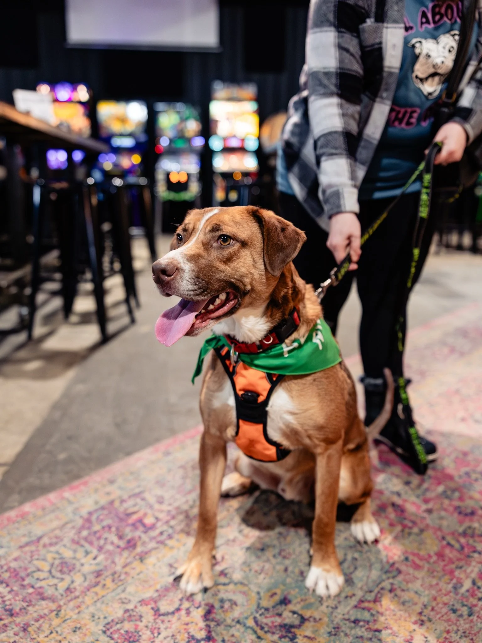 Good dogs welcome. Good beer required. 🐾🍺

Bring your pup, grab a pint, and hang in the taproom or out on the patio. Water bowls ready, tail wags encouraged, and plenty of space to post up.

Just keep &rsquo;em leashed, keep &rsquo;em chill, and we
