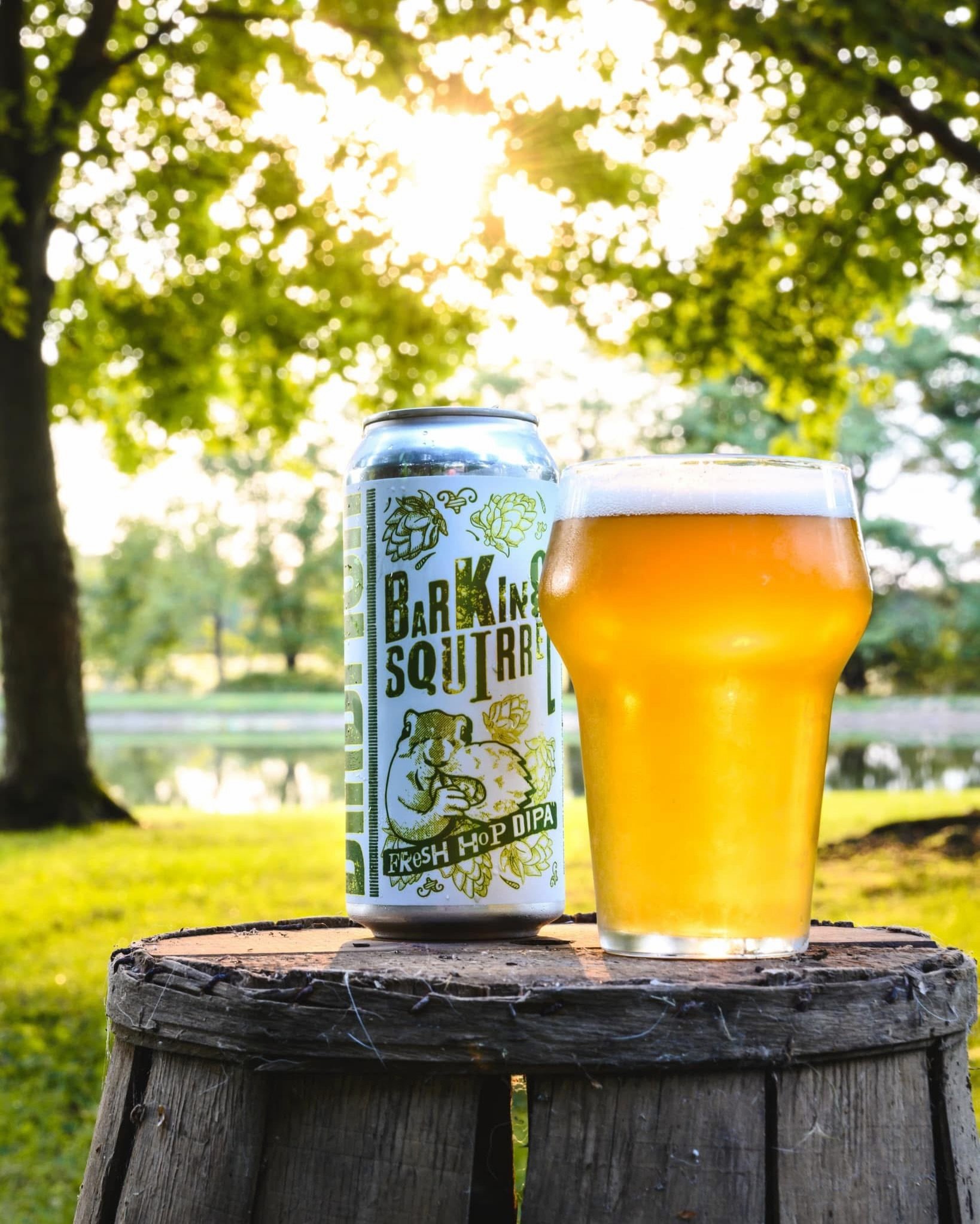 Nothing like the smell of fresh hopped beer in the morning. 🌞🍺

Barking Squirrel, our seasonal 8.2% Fresh Hop Double IPA is now pouring and available in cans to-go. Brewed with 100 pounds of fresh/wet Comet &amp; Cascade hops from @barkingsquirrelf