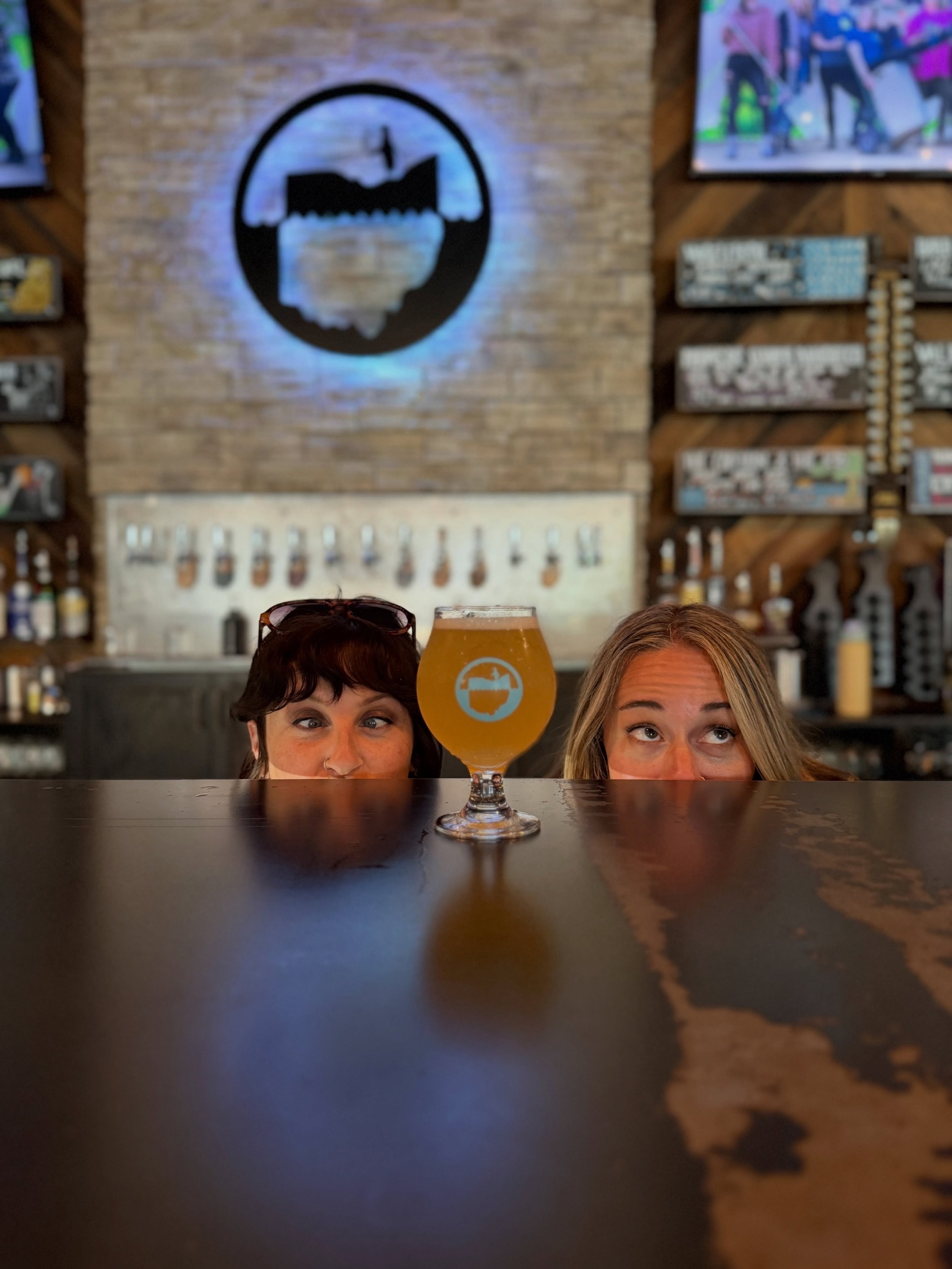 Farmer&rsquo;s Other Daughter is our small batch Fresh Hop Gose, brewed with peaches and 20 pounds of fresh Triumph hops from @auburnacresohio in Chagrin Falls, Ohio.

4.1% ABV. A little late-season crush.