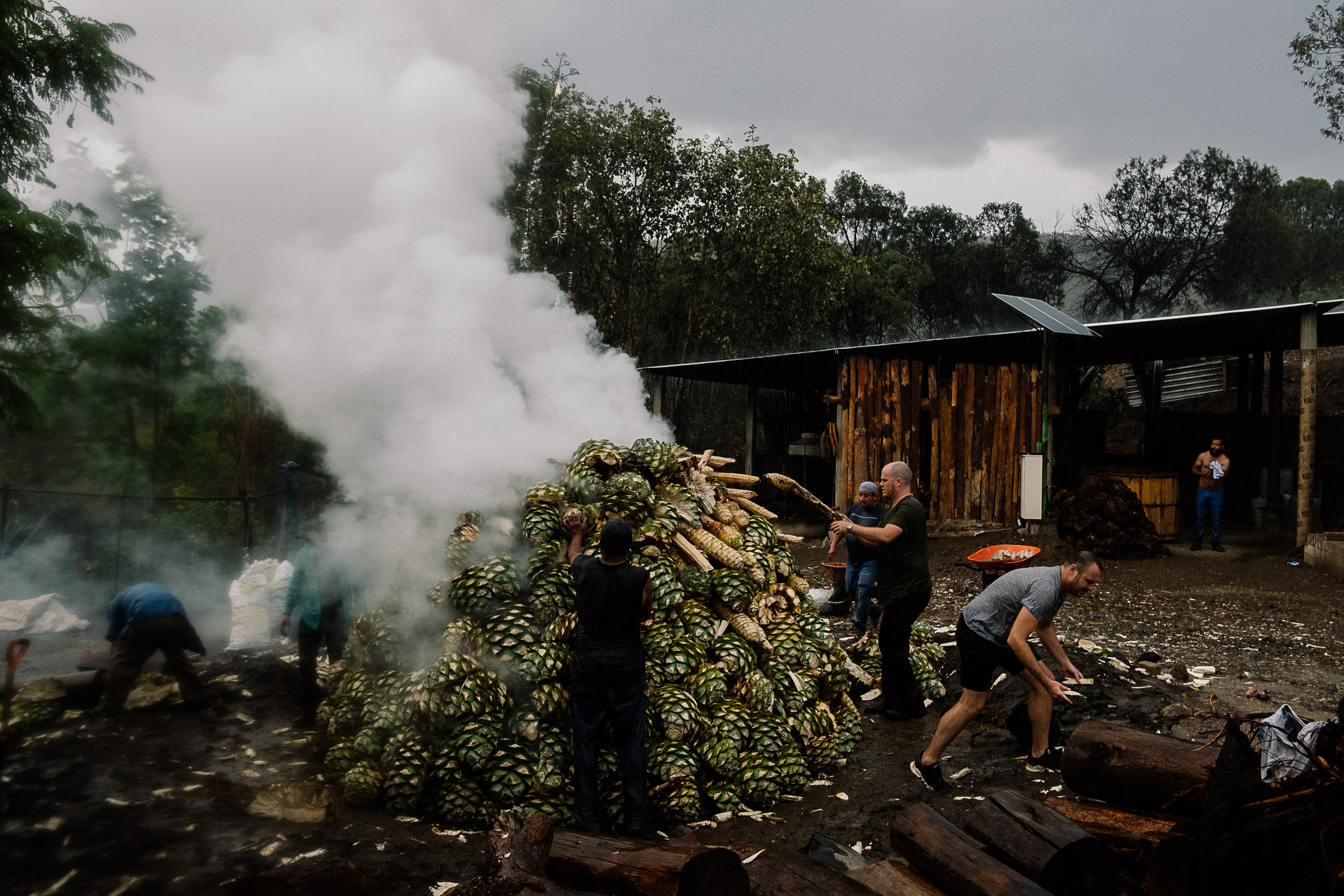 MADRE_MEZCAL_Lukedellasanta-30.jpg