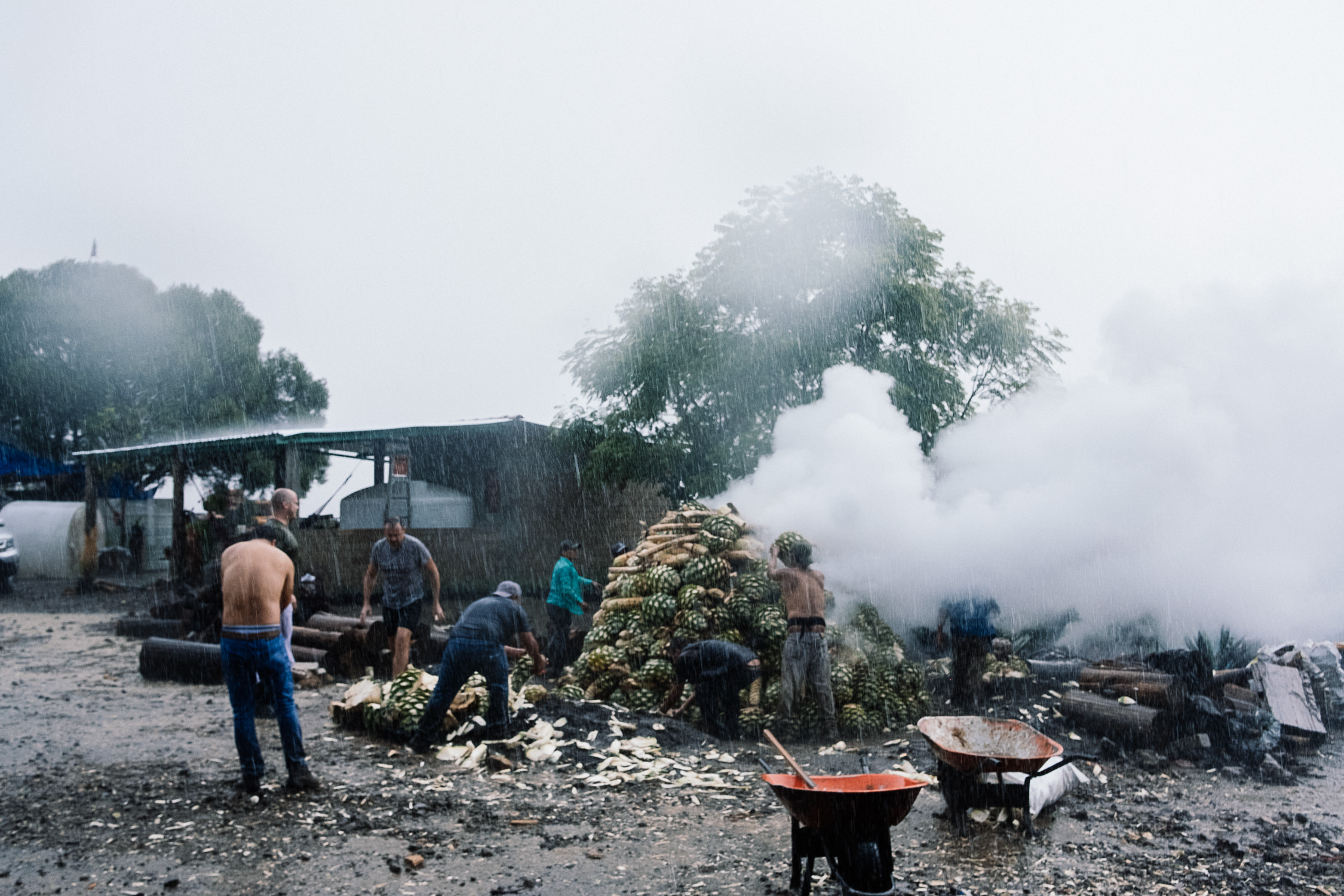 MADRE_MEZCAL_Lukedellasanta-32.jpg