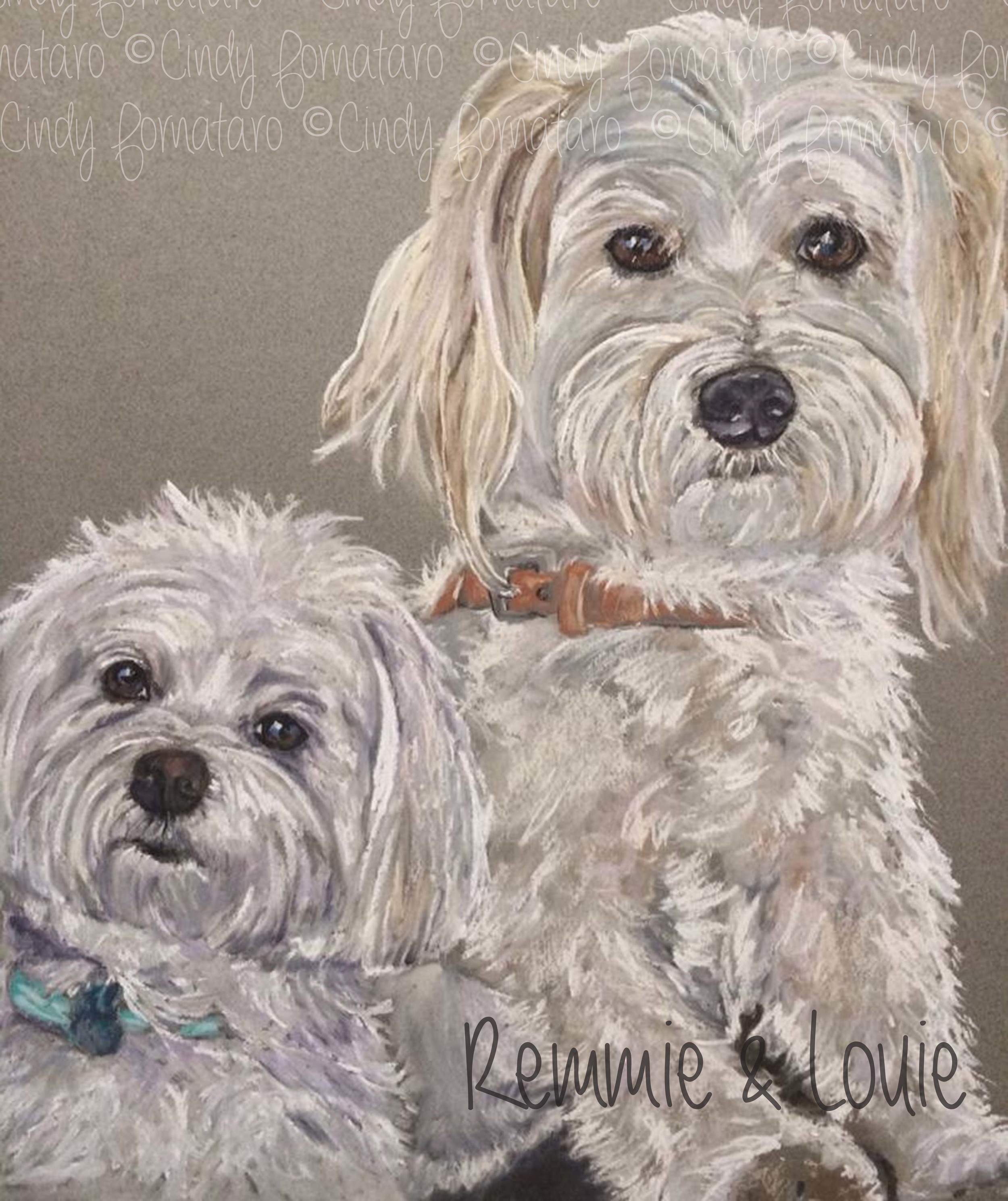 Remmie & Louie