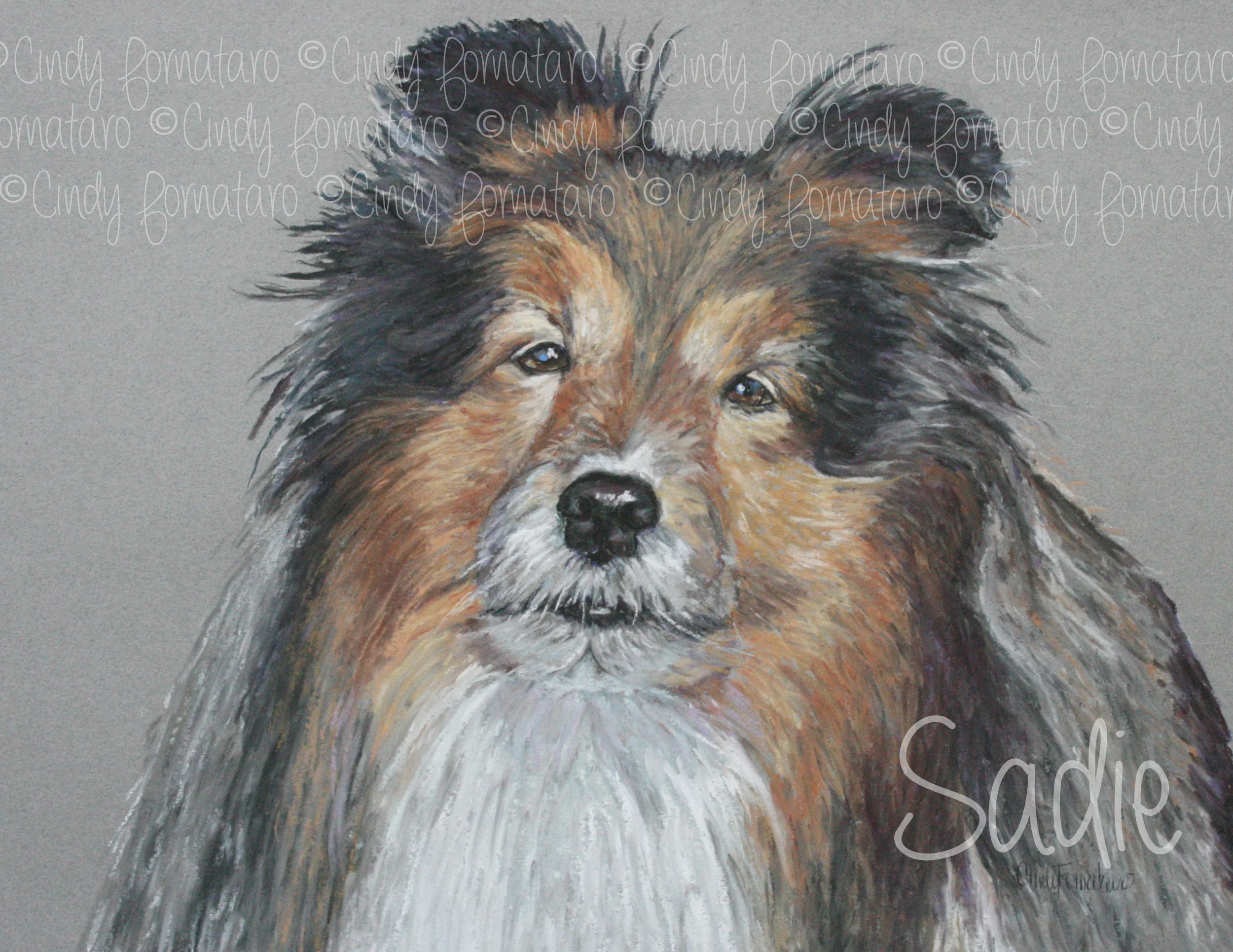Sadie