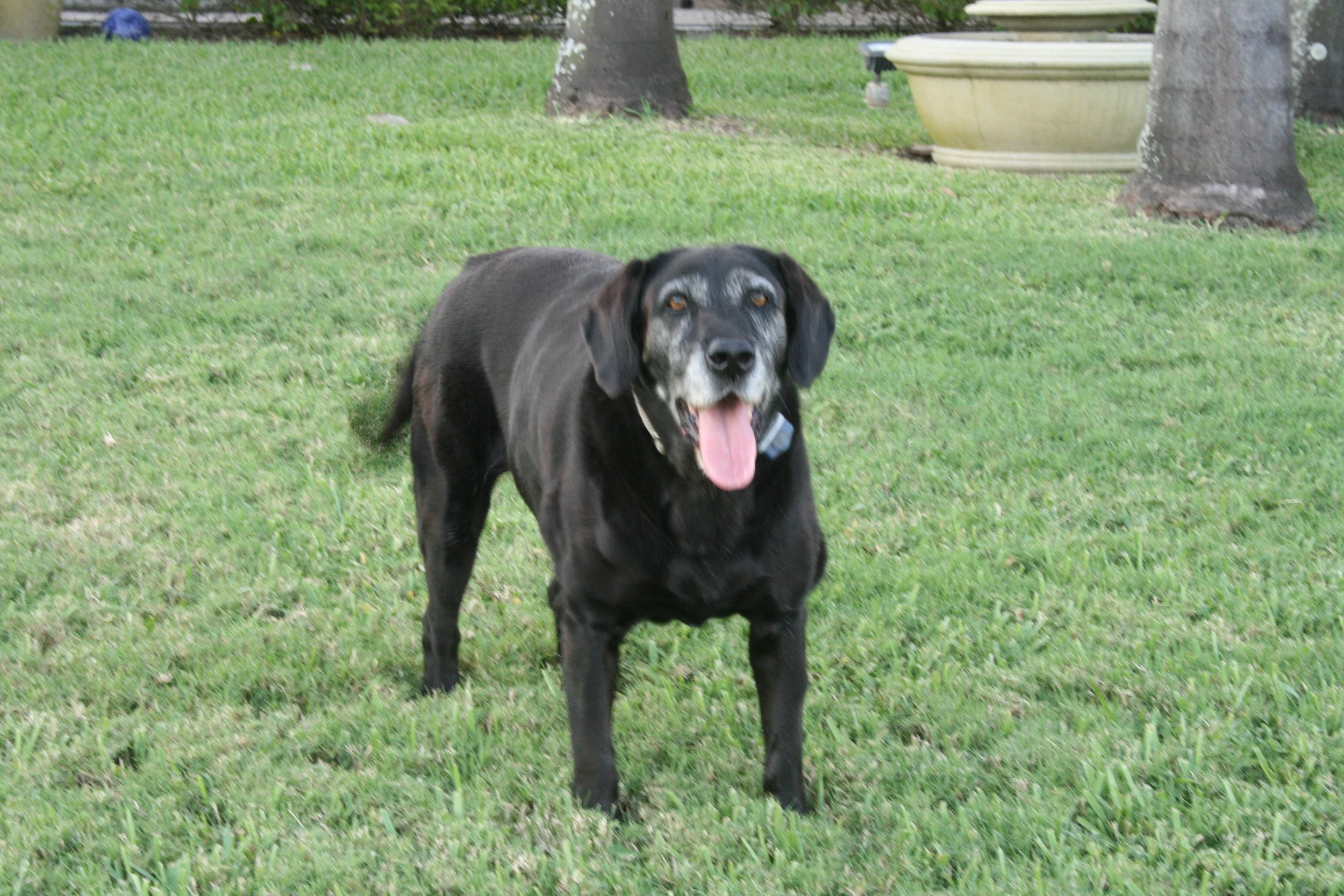 Distance when shooting/Bad choice