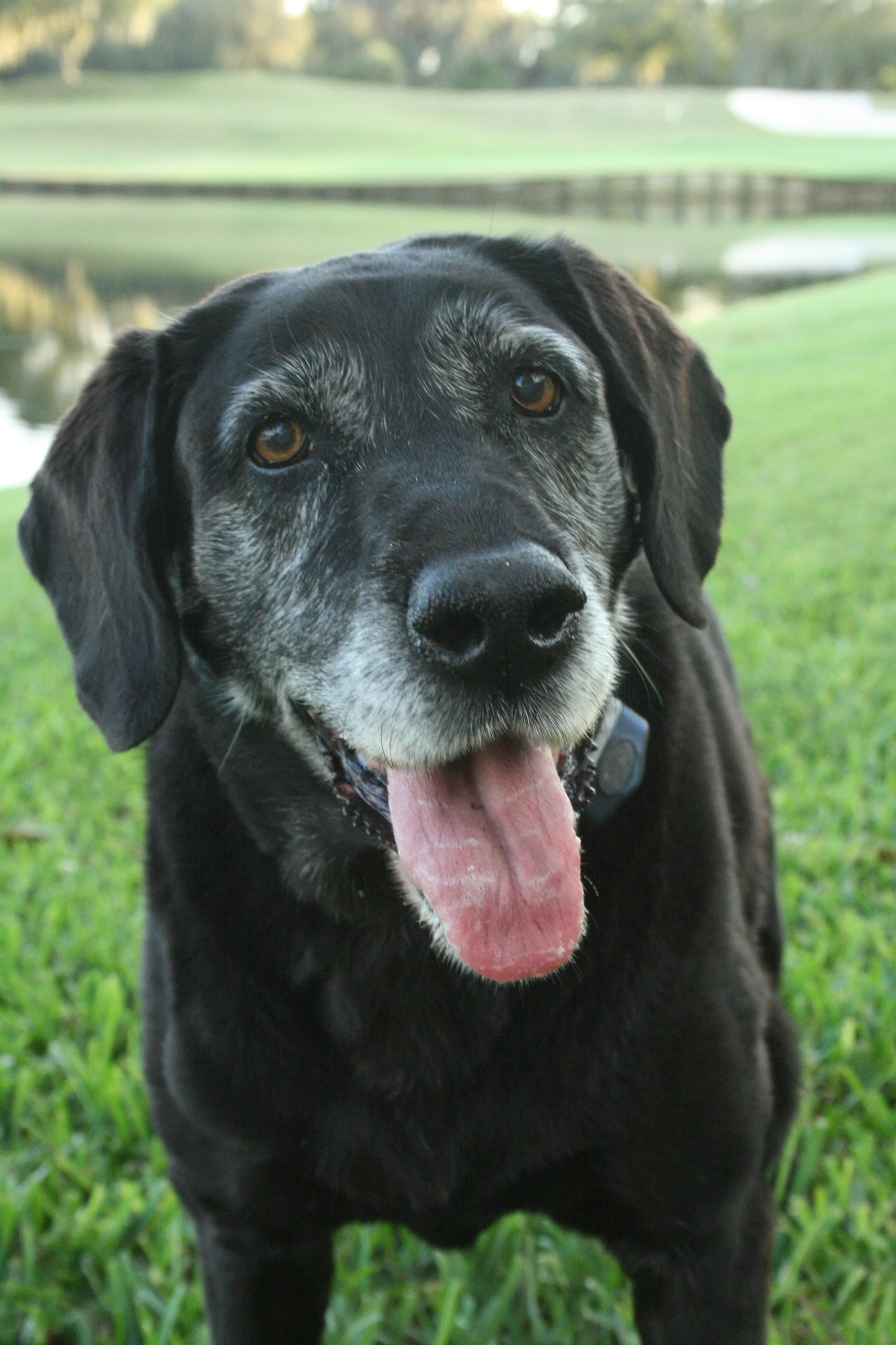 Distance when shooting/Great choice