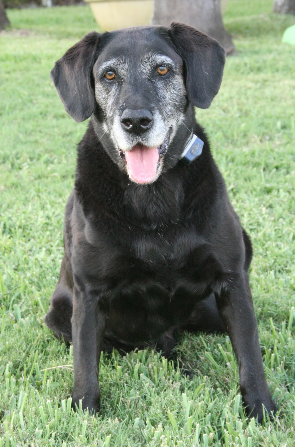 Distance and Position