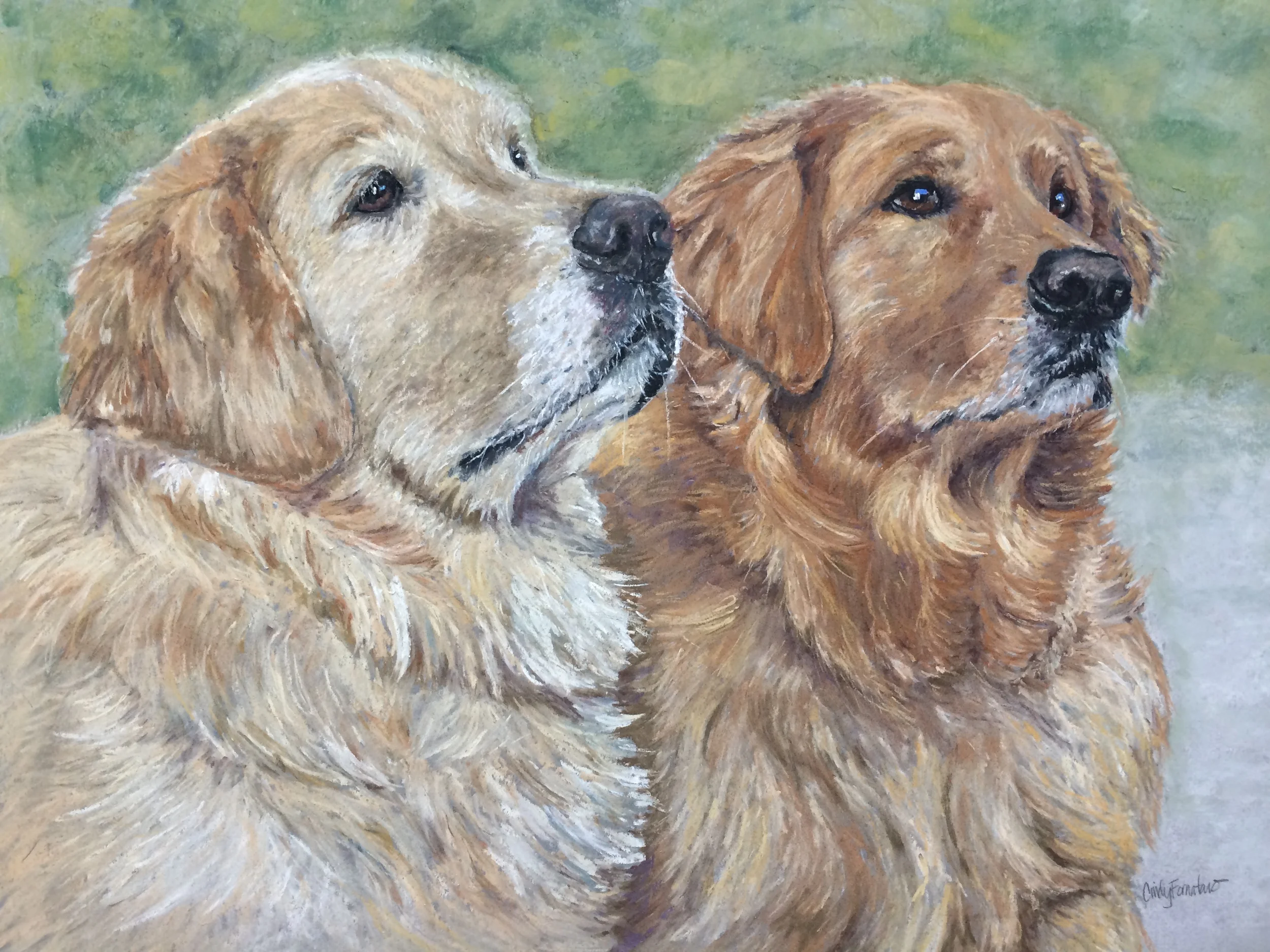 Danny&Hogan final.JPG