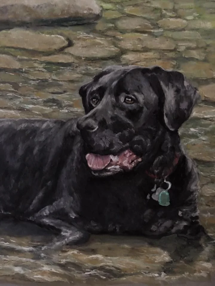Black Lab