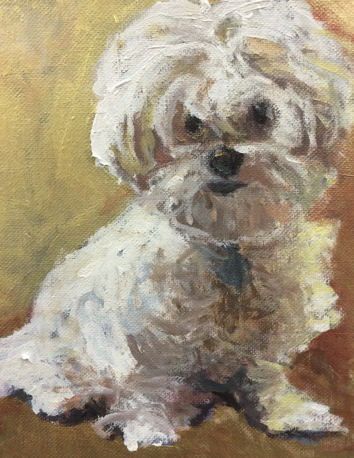 Lila
