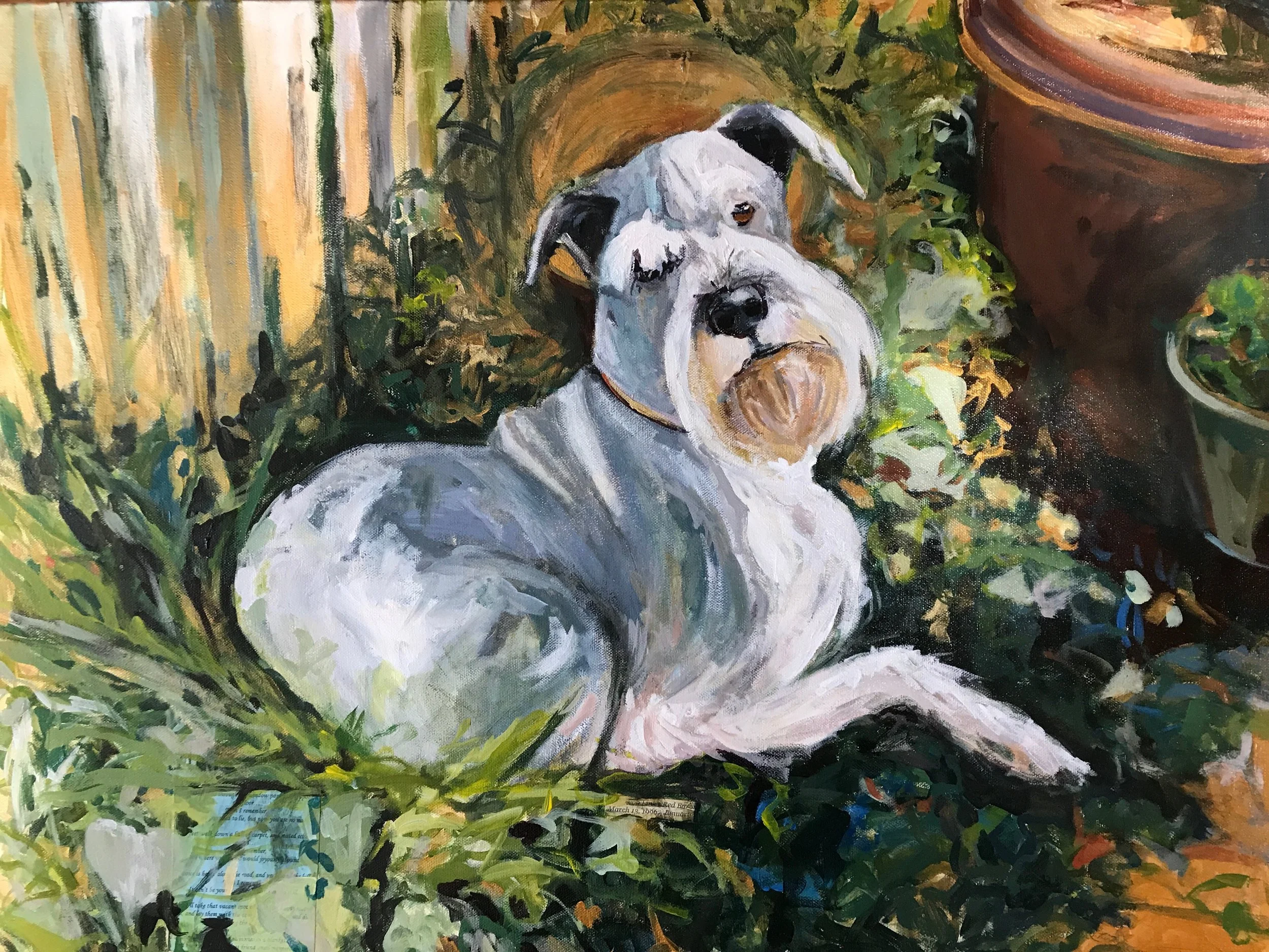 Baron in the garden