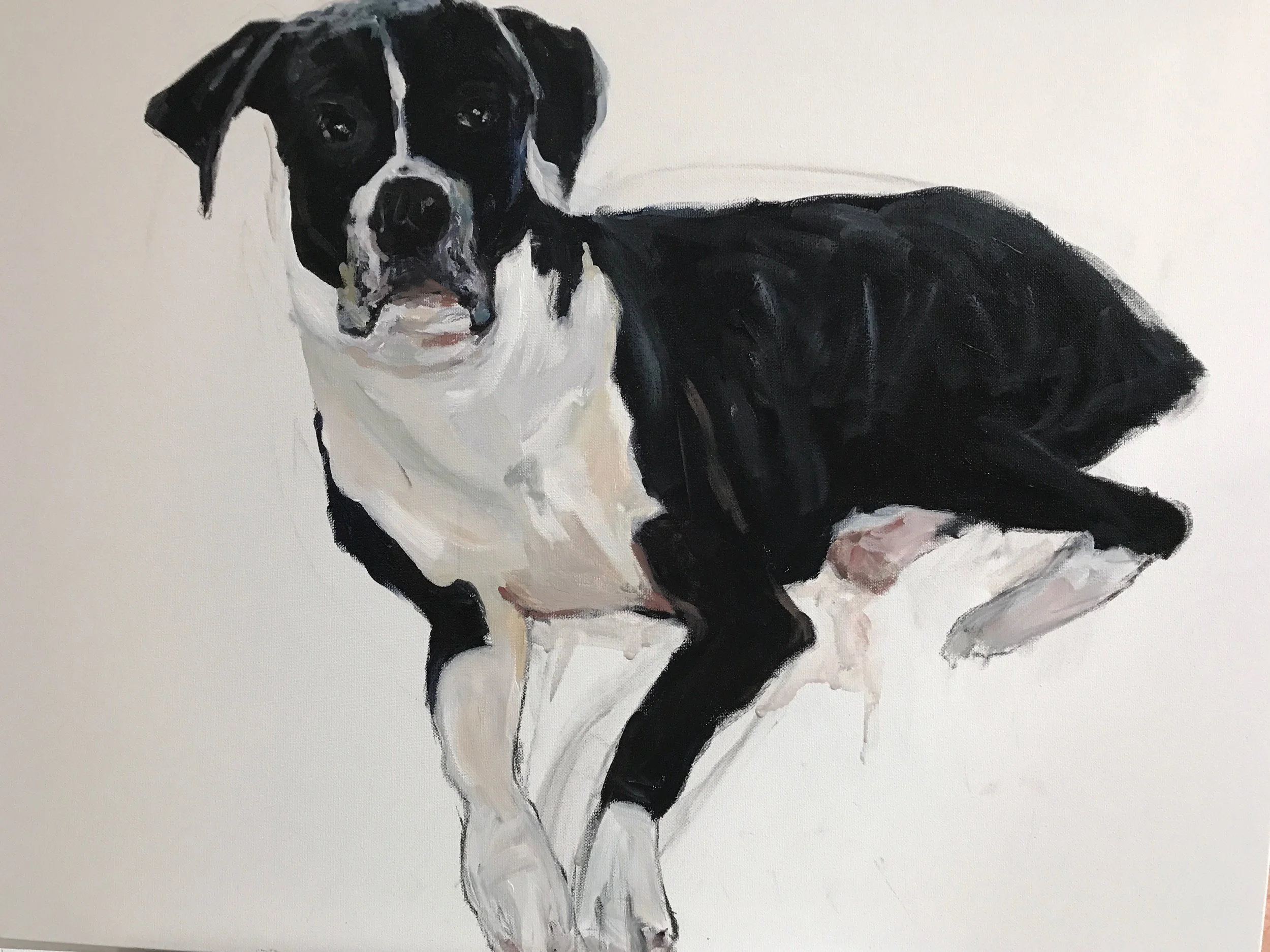 Bruno