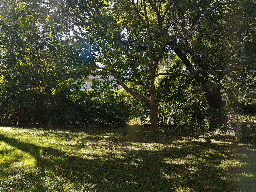 Our backyard on a warm Autumn day