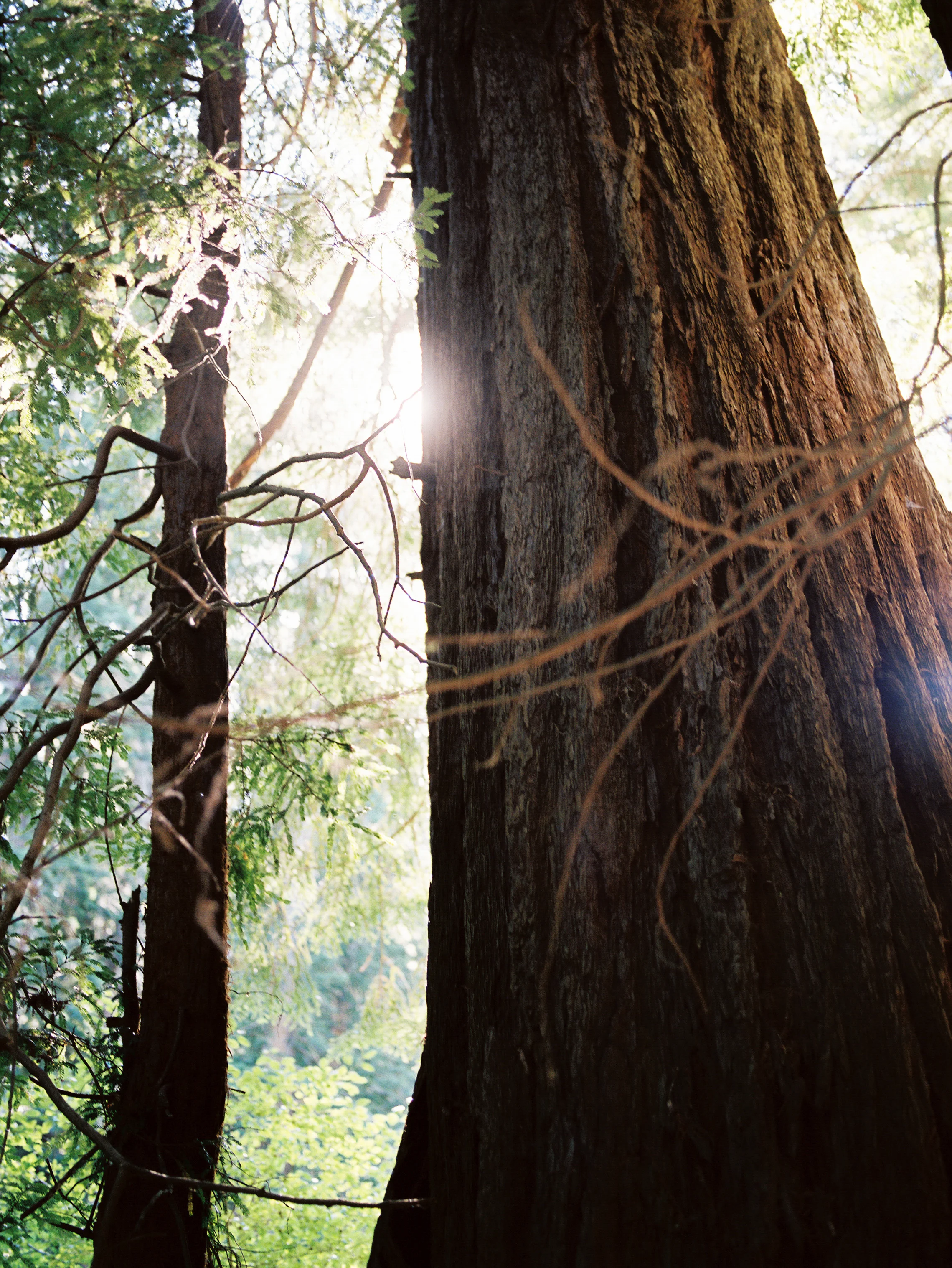Nick-Drollette-Photography-San-Francisco-105.jpg