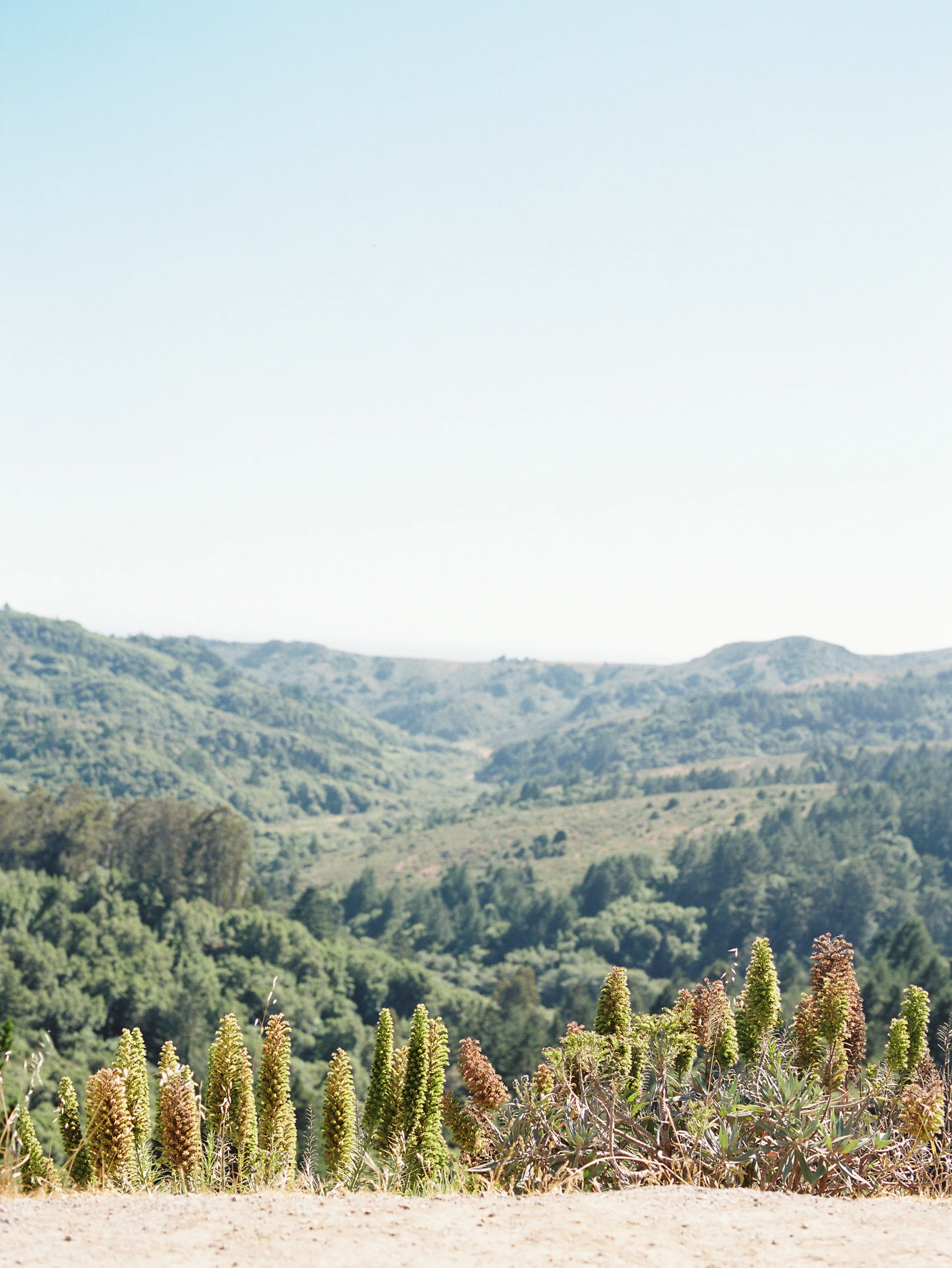 Nick-Drollette-Photography-San-Francisco-106.jpg