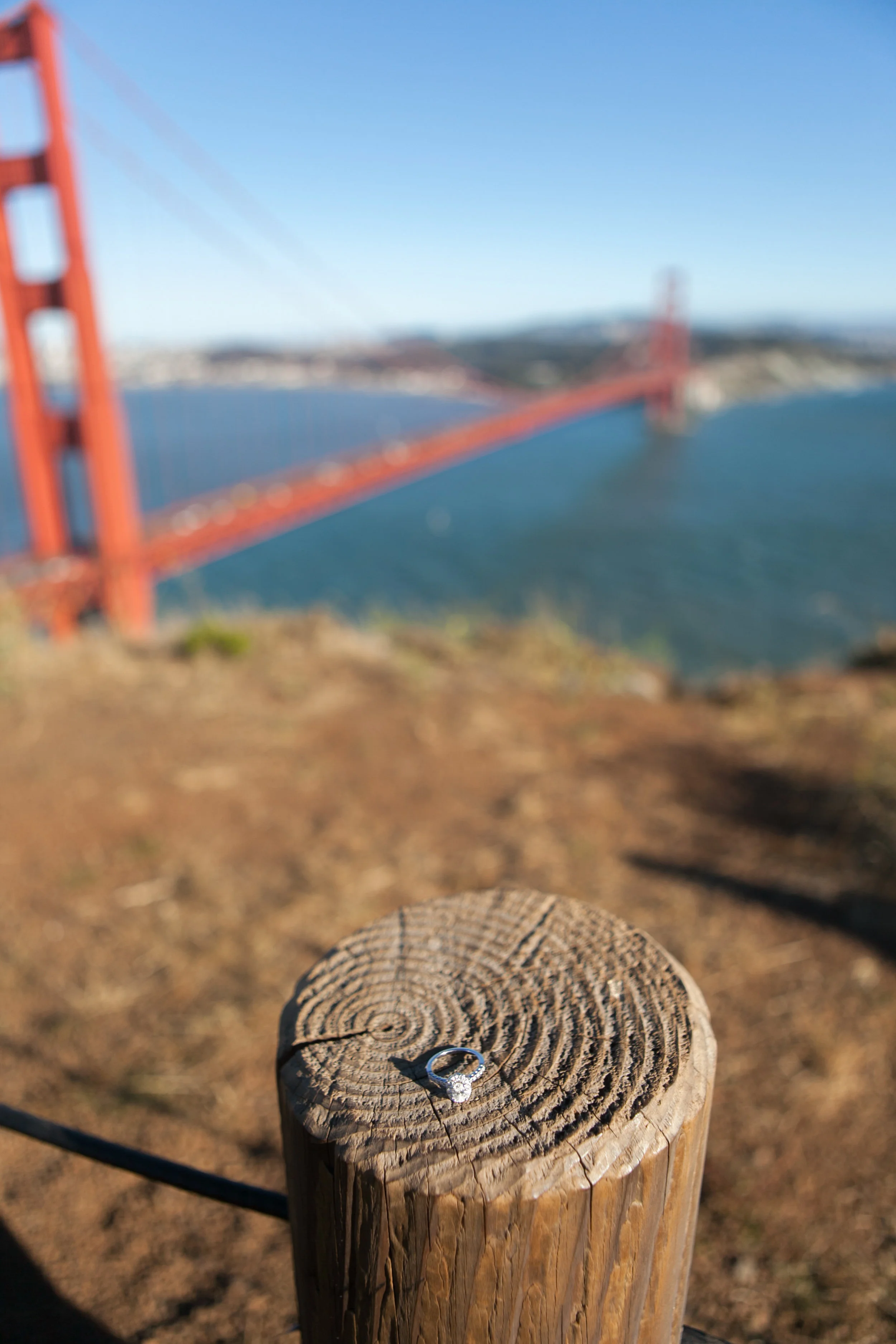 Nick-Drollette-Photography-San-Francisco-114.jpg