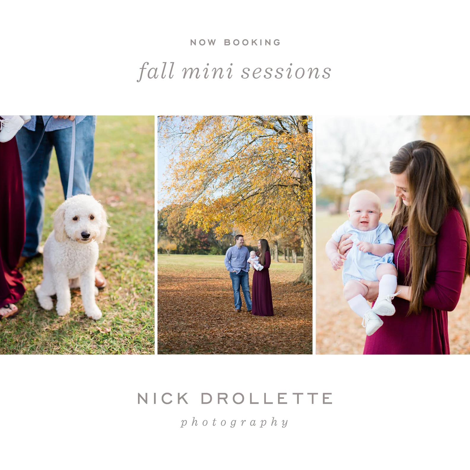 FallMiniSessions copy.jpg