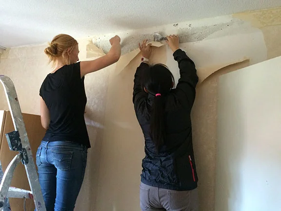 Hands-on help doing repainting.