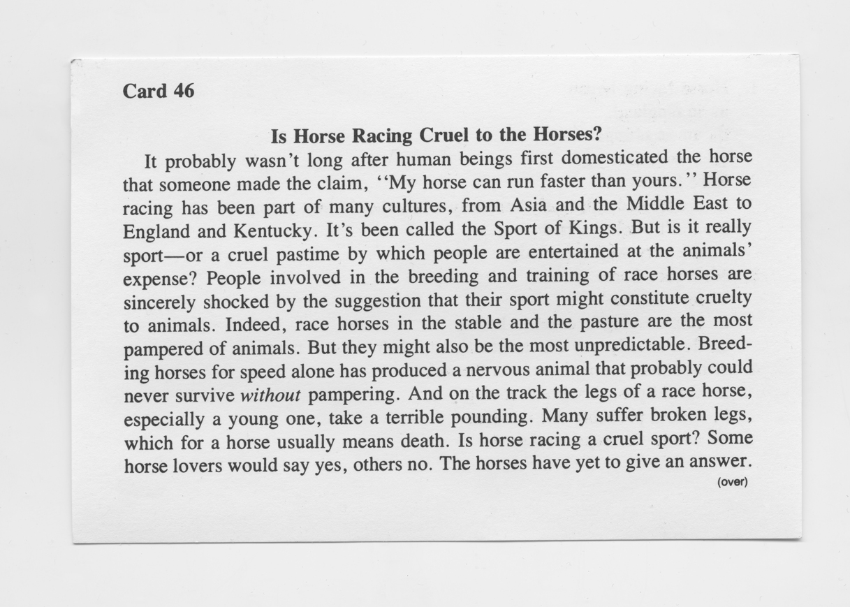 Is Horse racing cruel001.jpg
