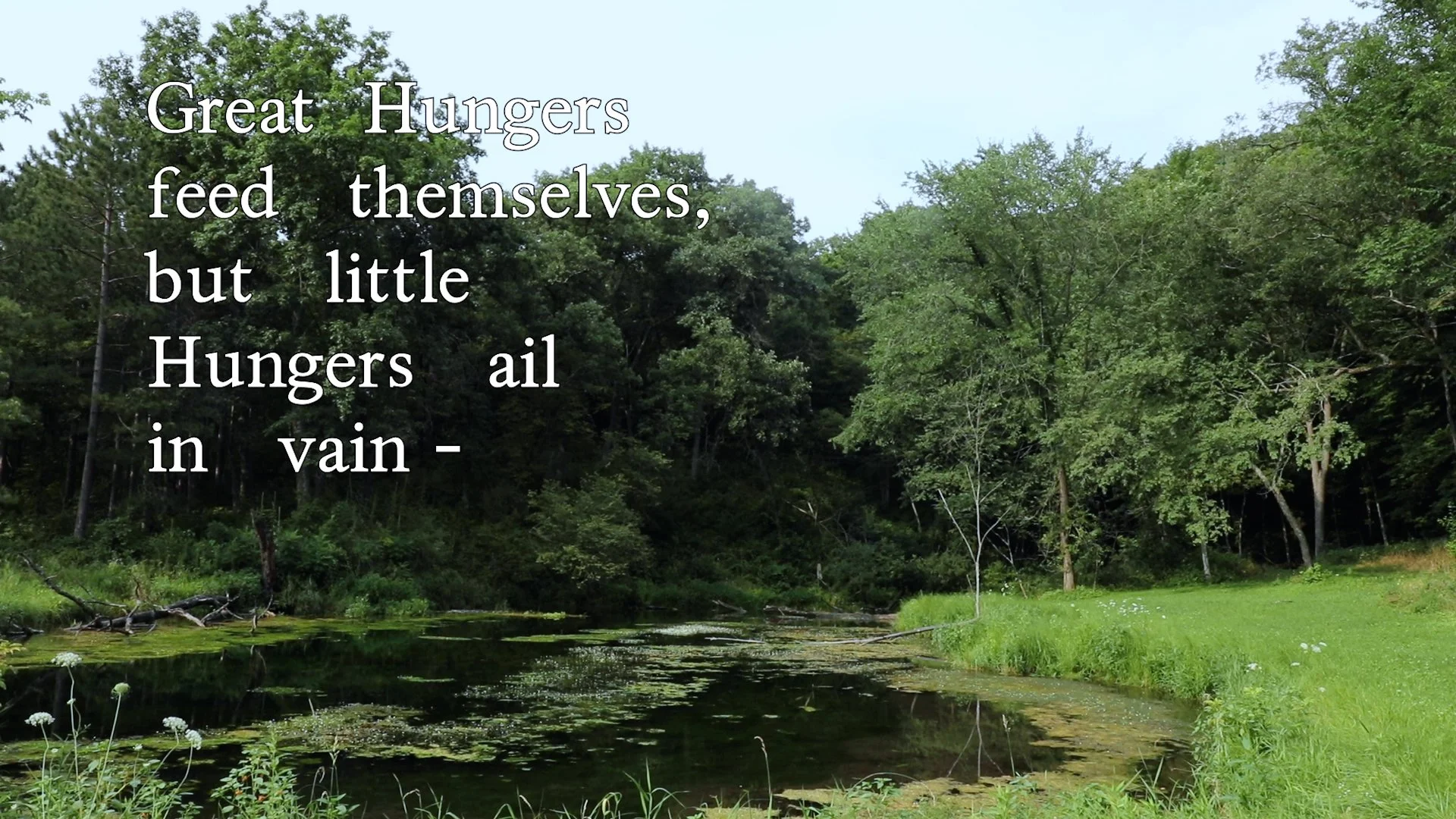 Floyd_Danny_A Narrow Fellow In The Grass (still) 7_2021.jpg