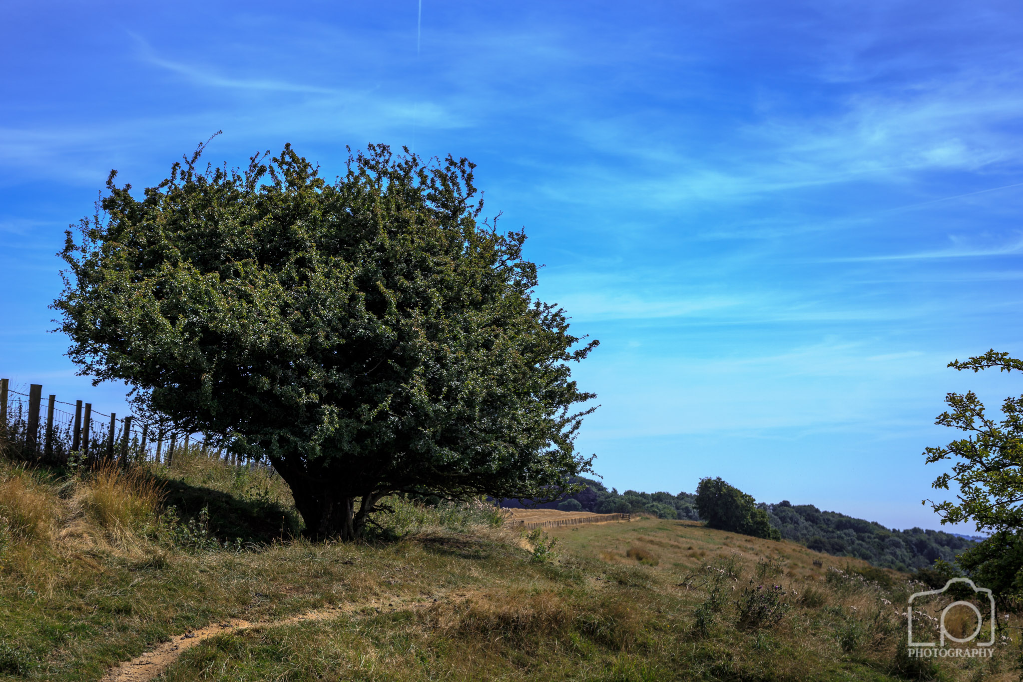 North Downs Way, Kent