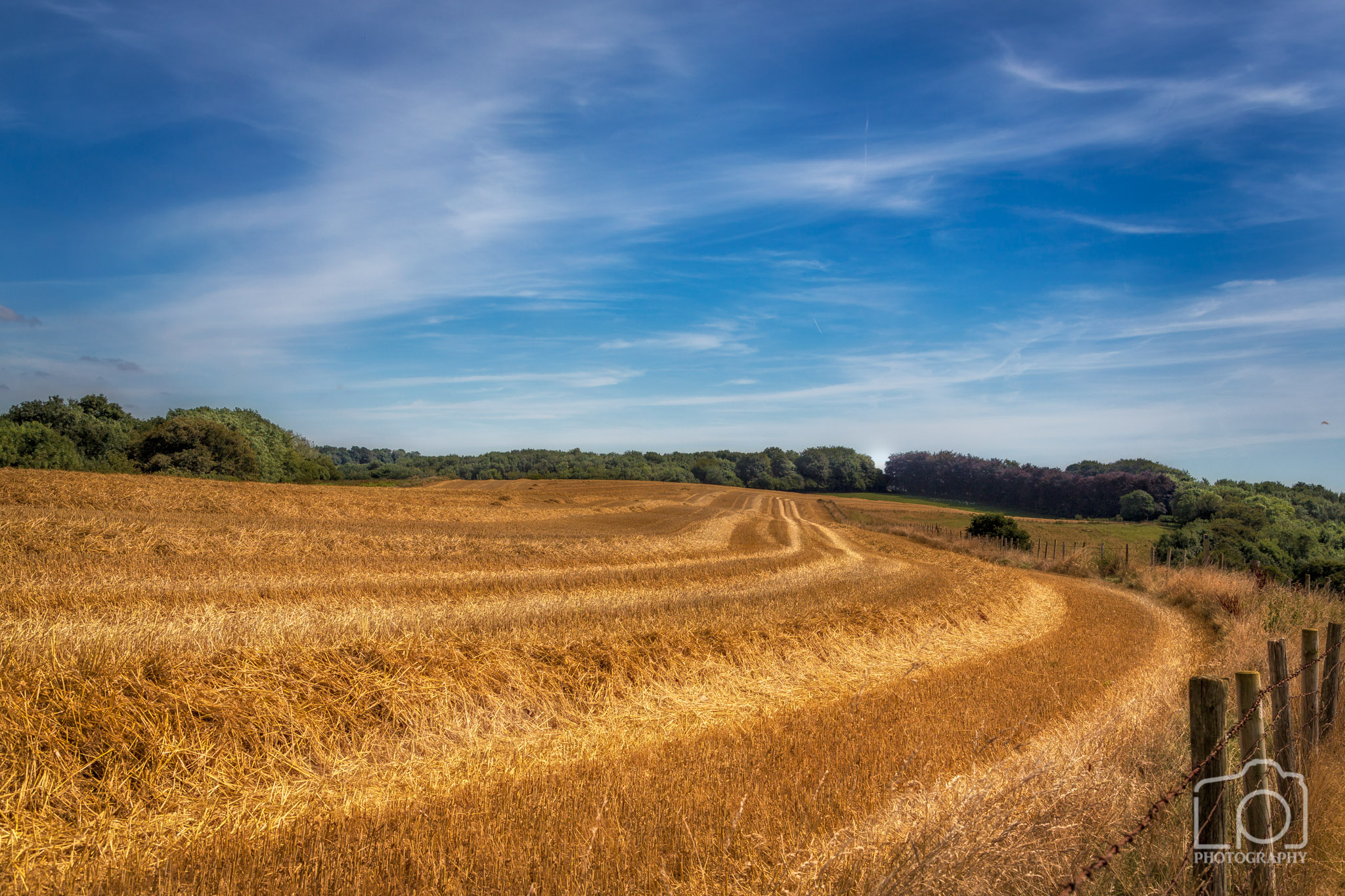 North Downs Way, Kent