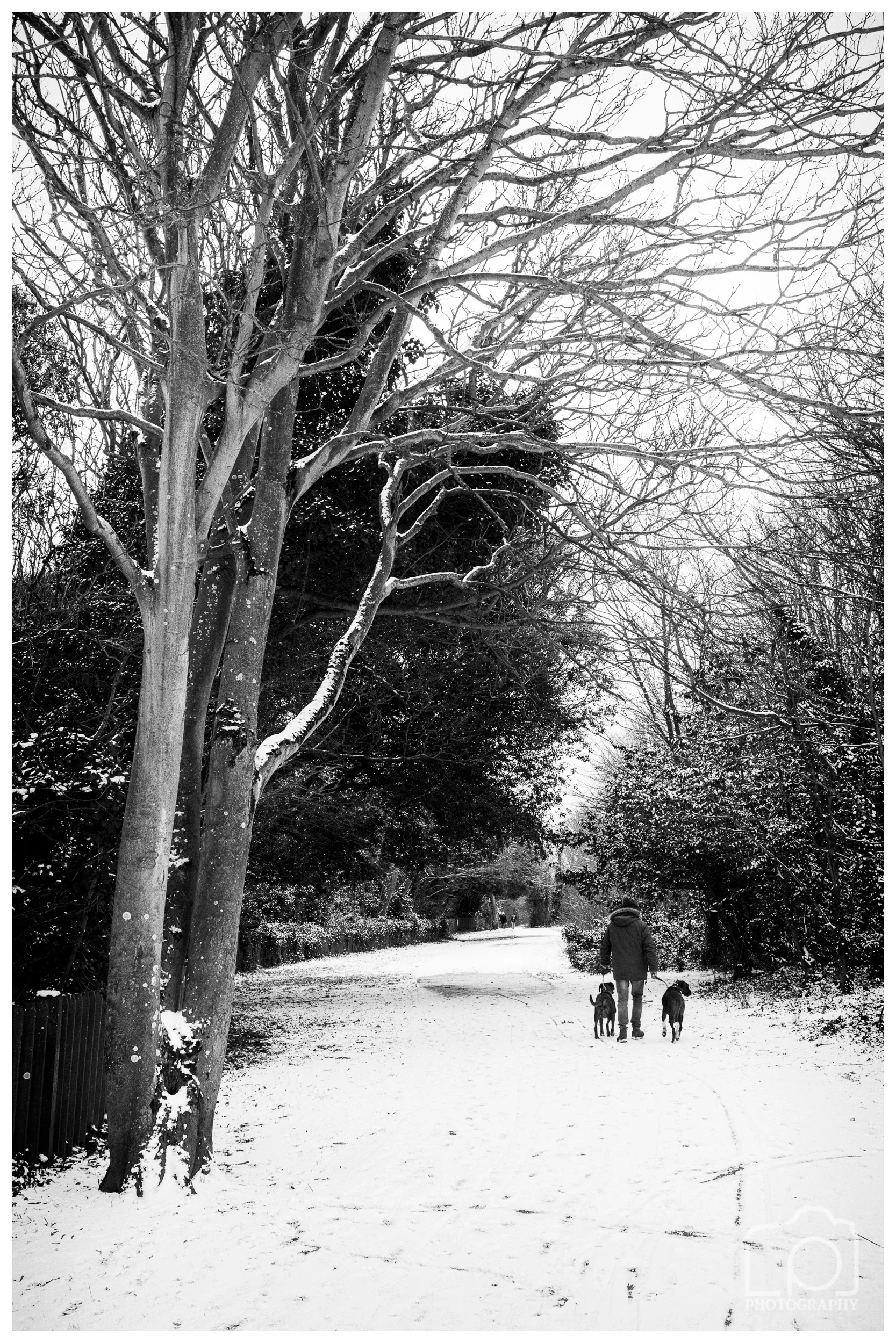 King George 6th Park