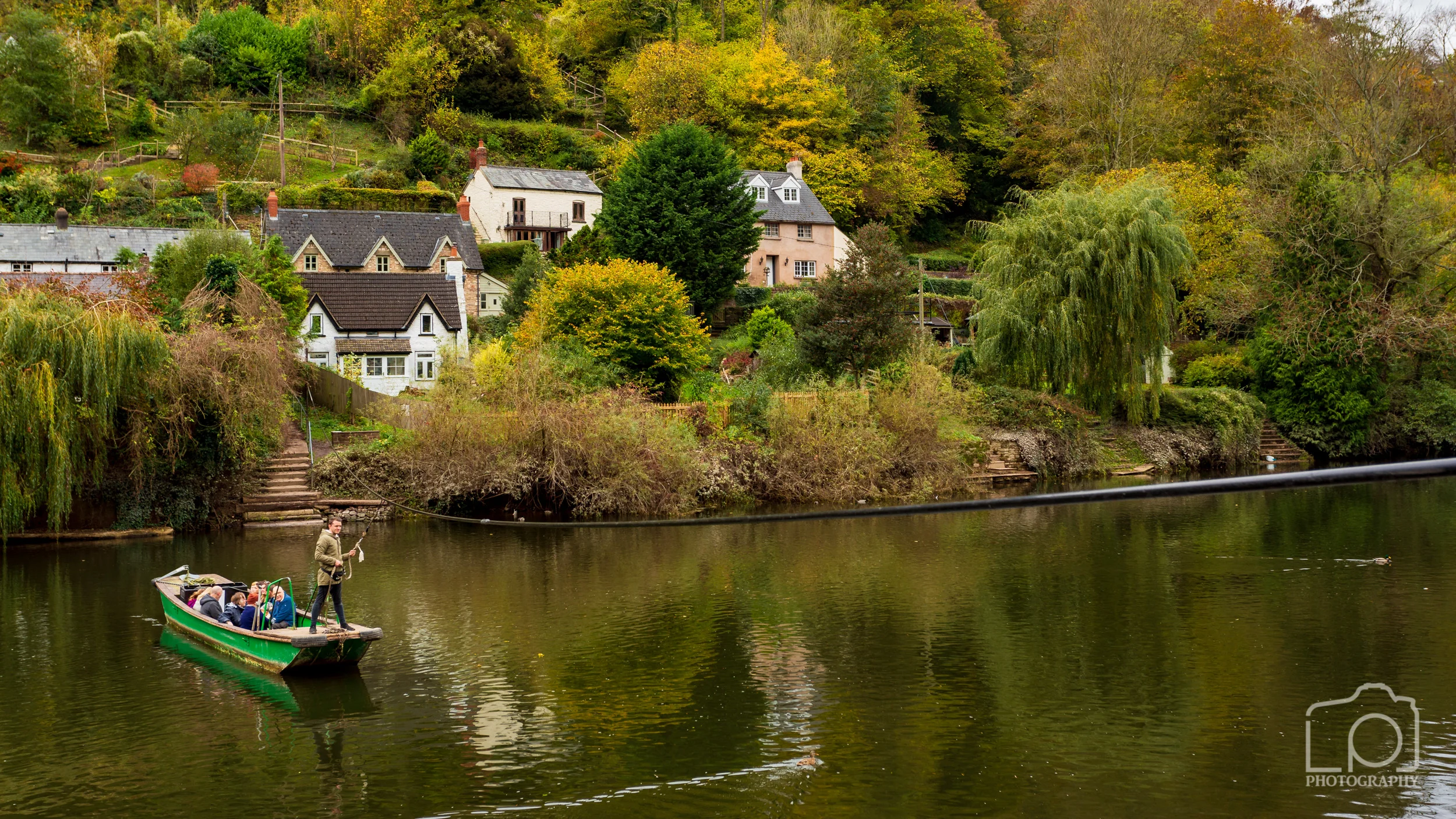 Forest of Dean - 2706