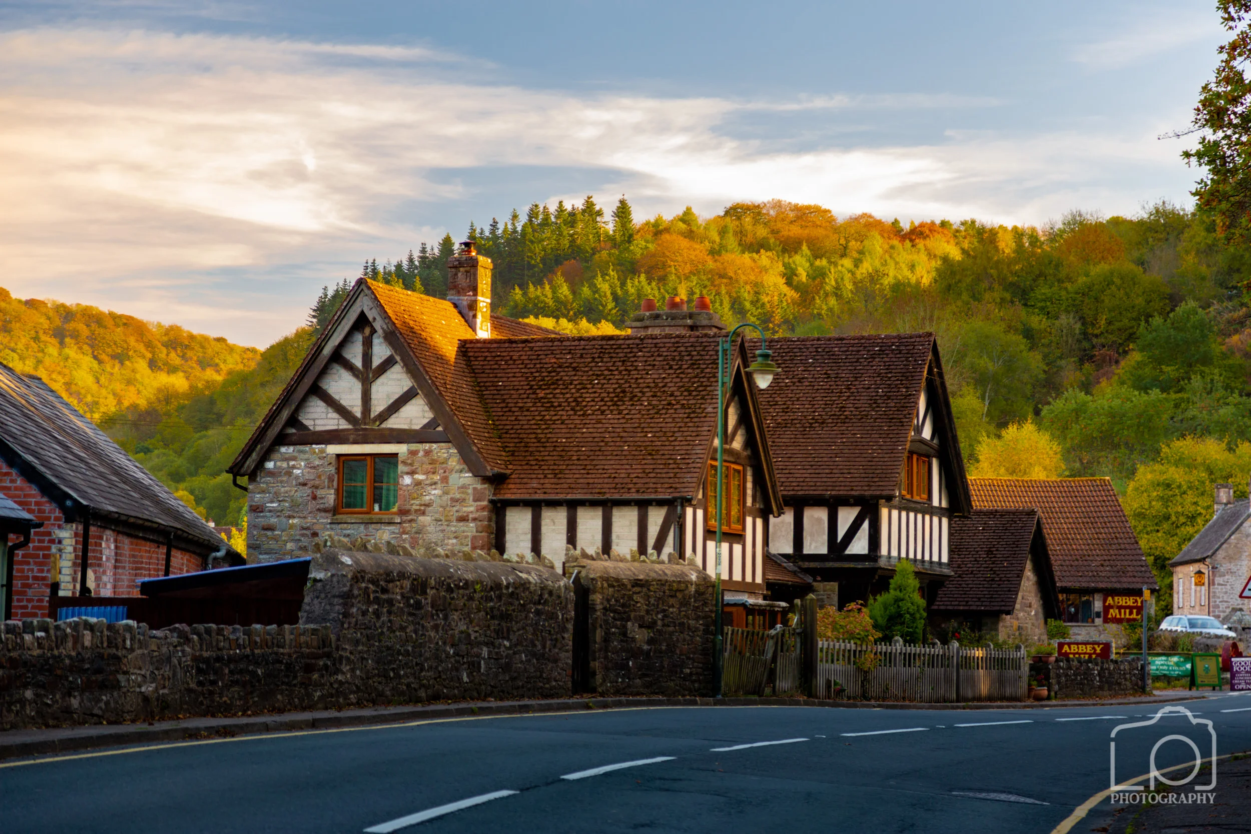 Forest of Dean - 2649