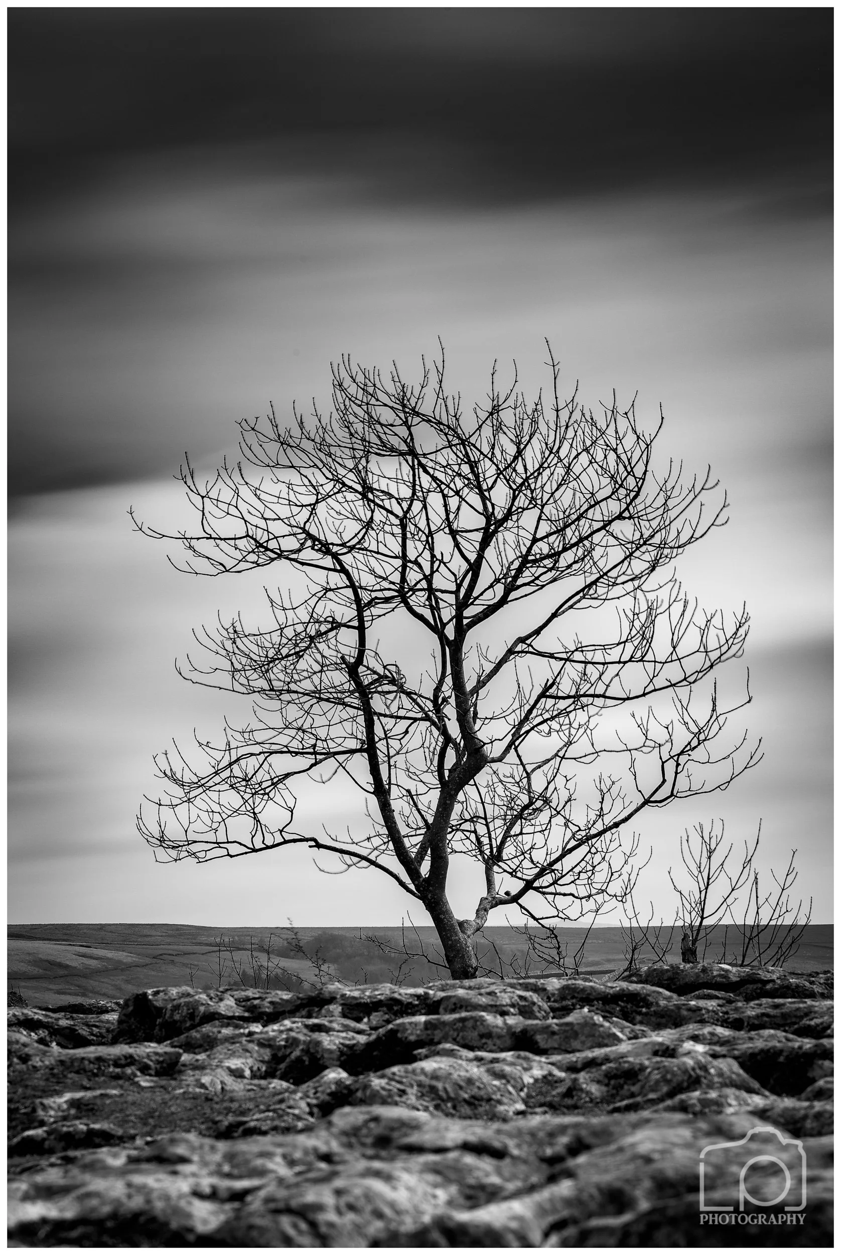 Yorkshire Dales Malham Cove 2939