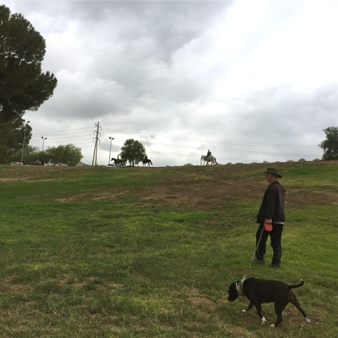 IMG_8531.jpeg