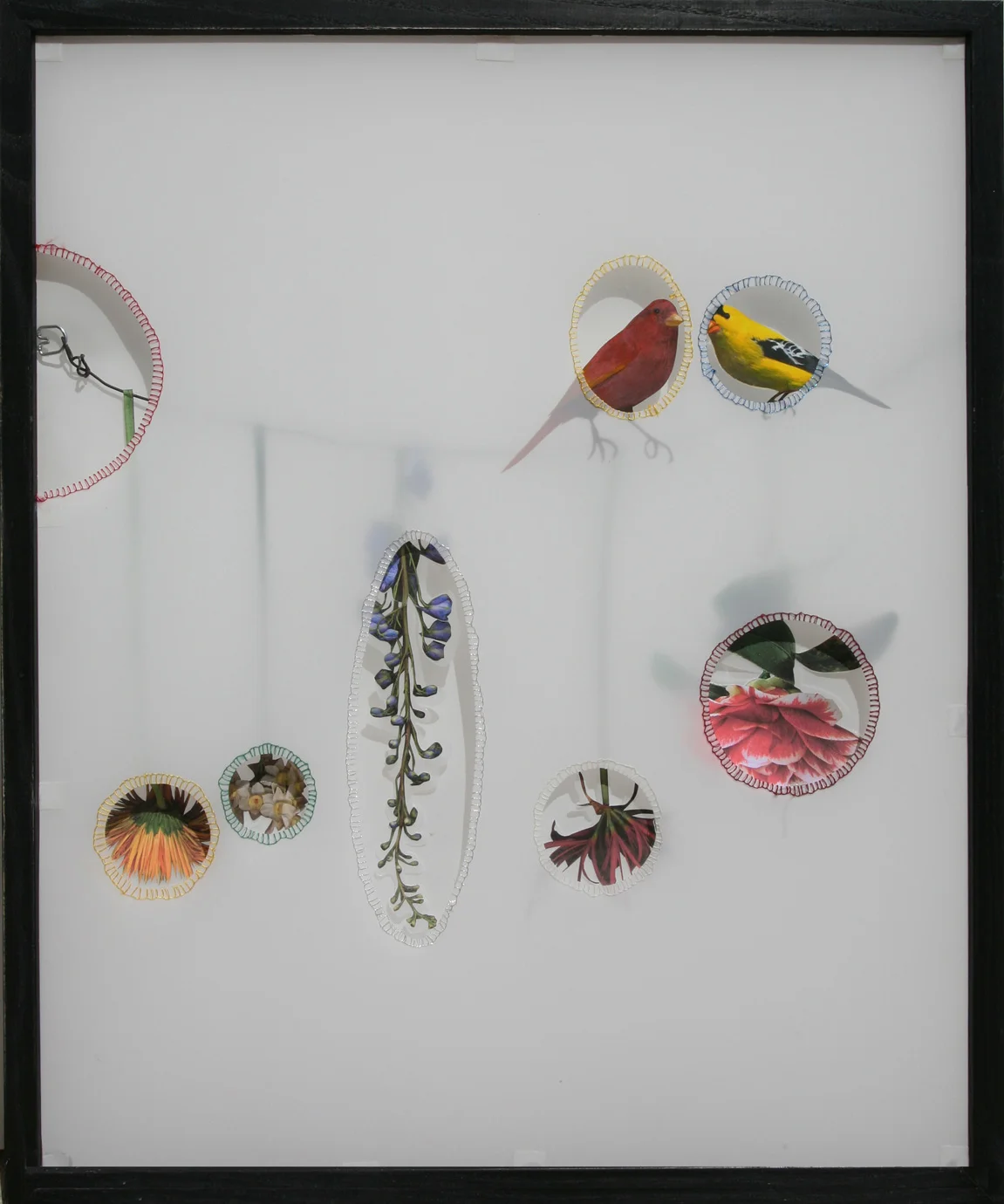 Flower and Birds
