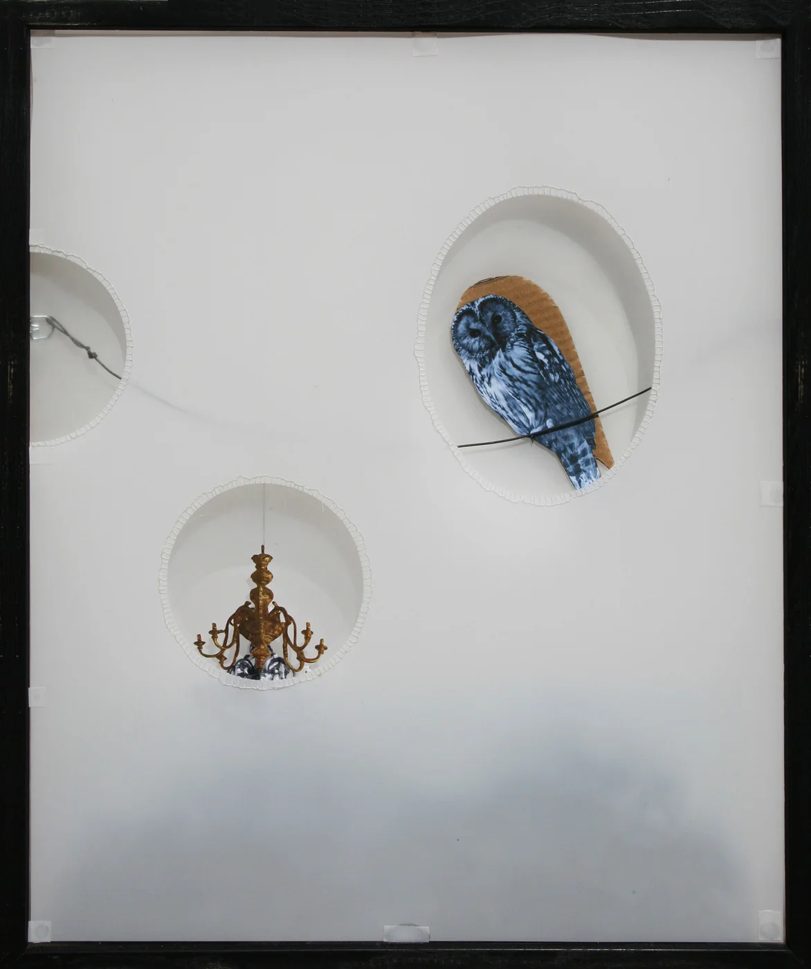 Owl and Chandelier 