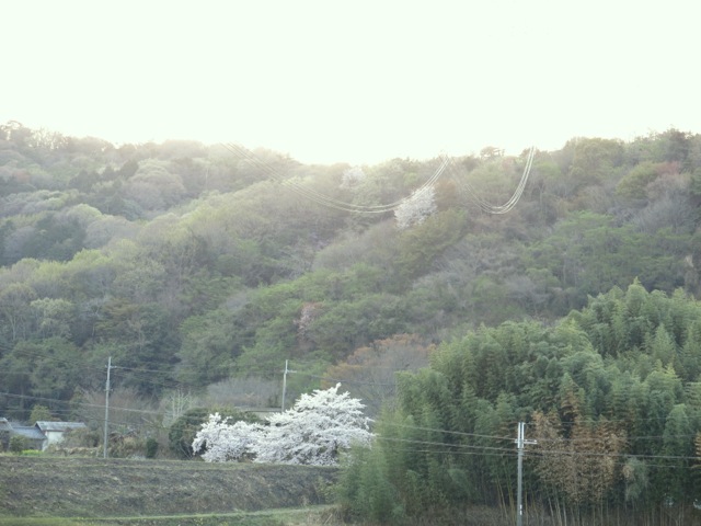 IMG_4483.jpeg