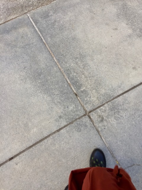 IMG_7443.jpeg