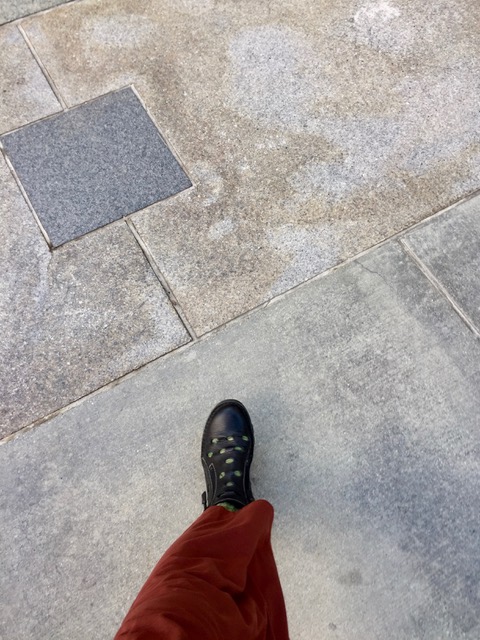 IMG_7444.jpeg